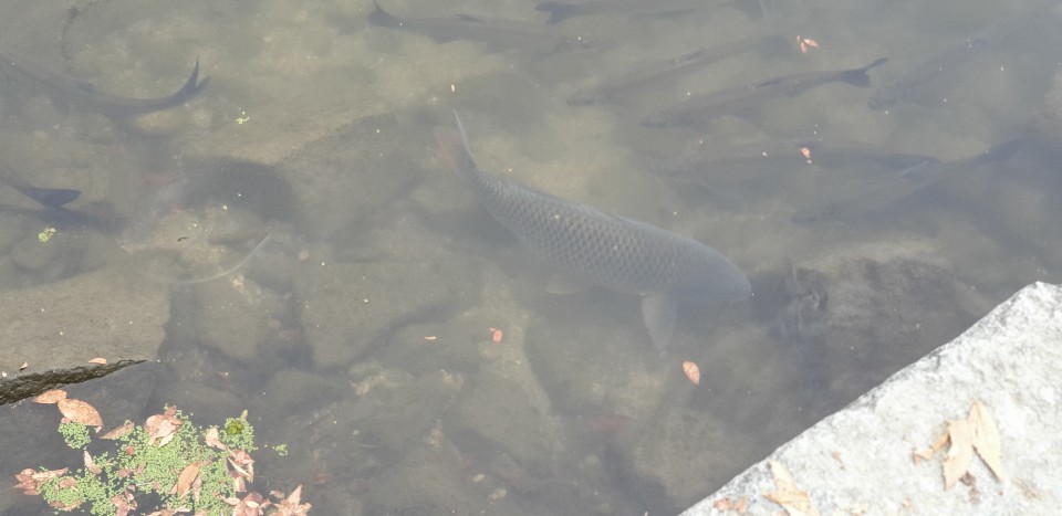 KakaoTalk_20191113_122901279_11 (1).jpg