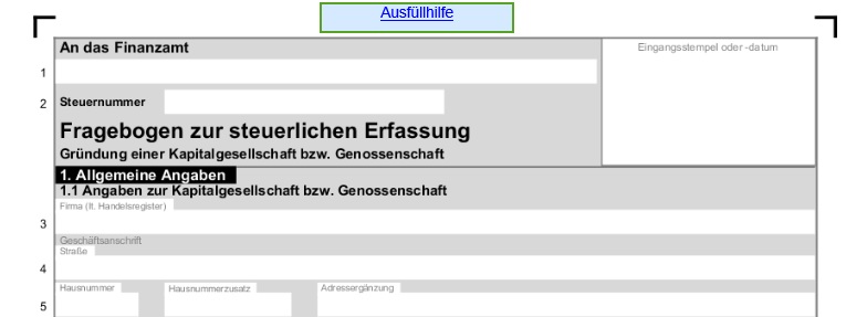 Fragebogen steuerliche Erfassung GmbH.jpg