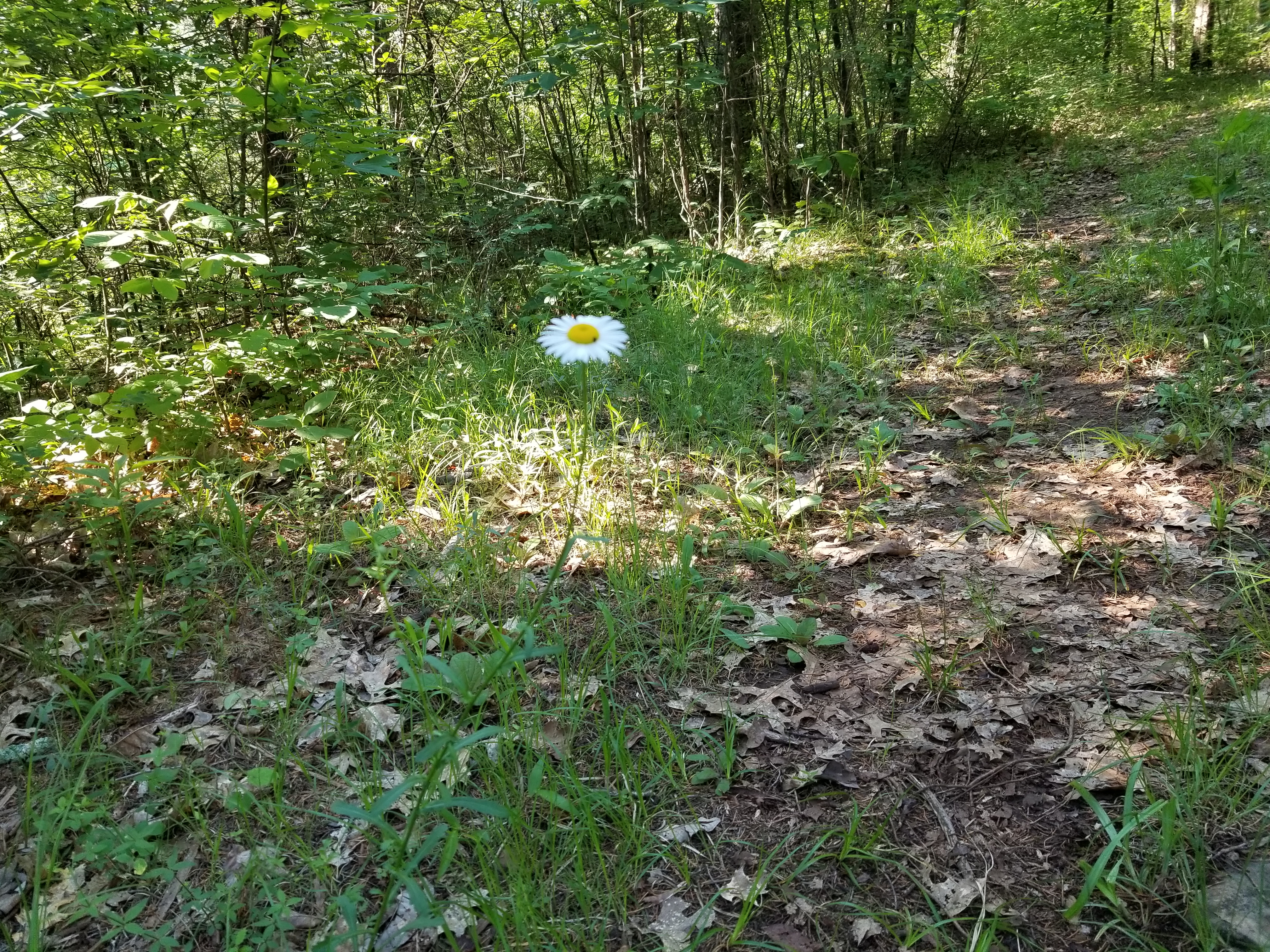 20190517_083555.jpg