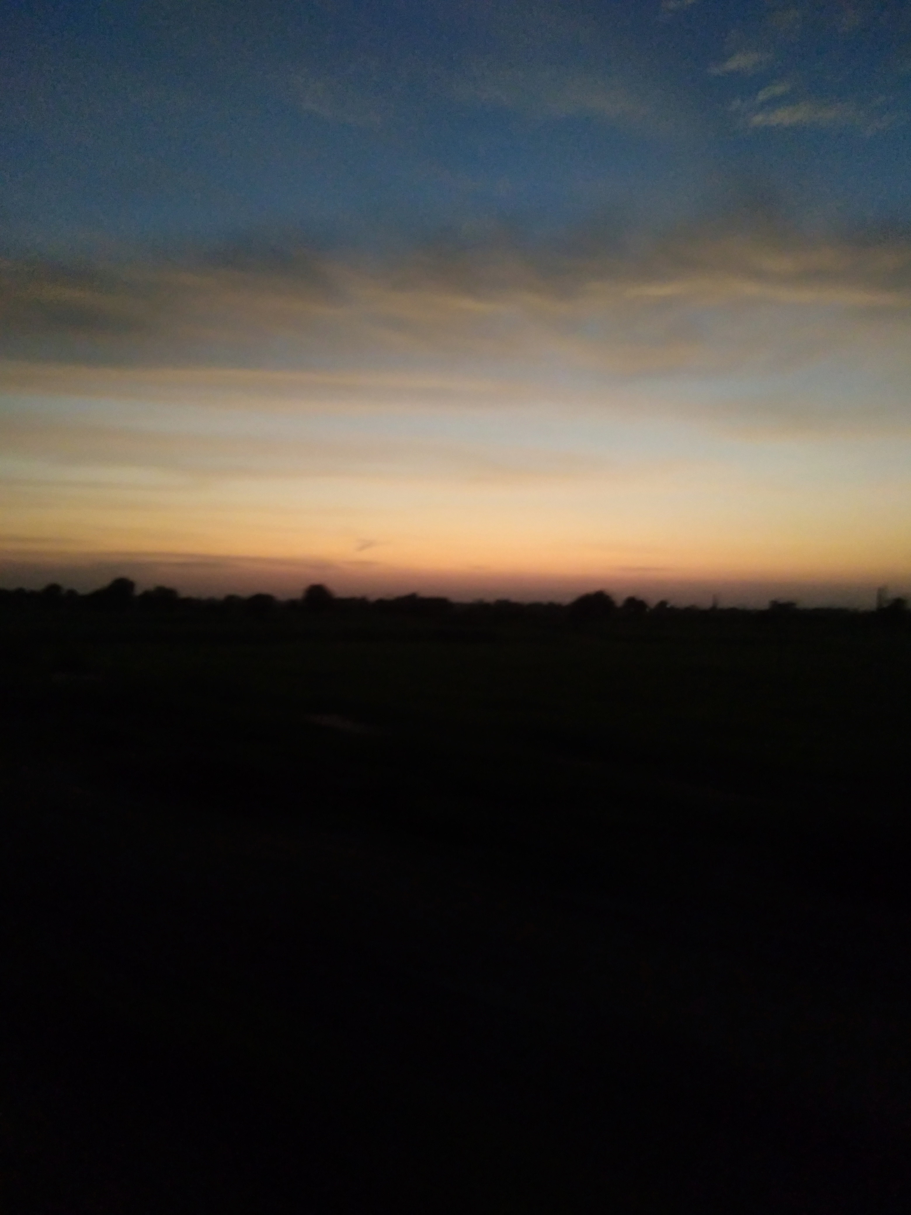 IMG_20190817_190833.jpg