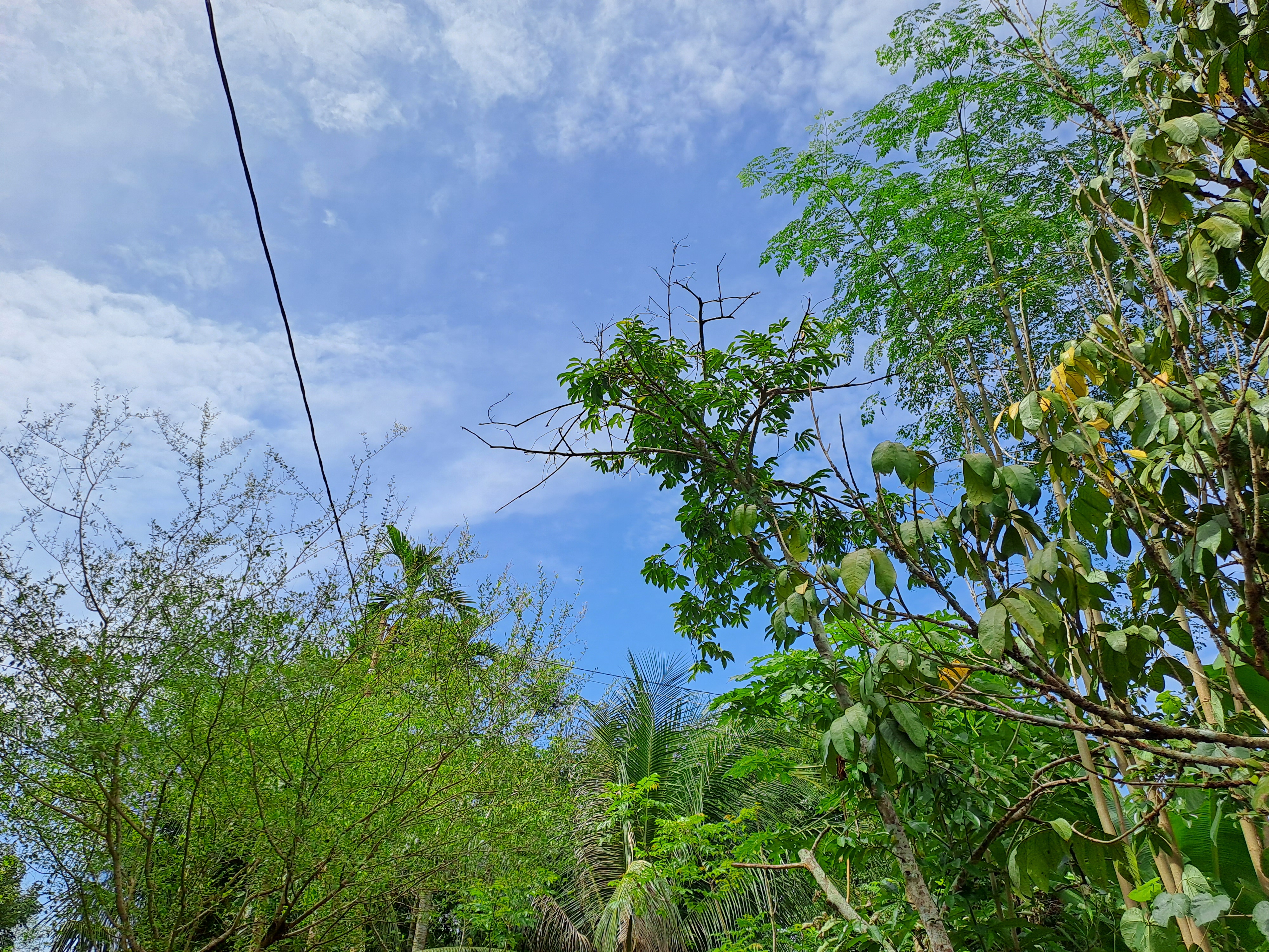 20250606_105054.jpg