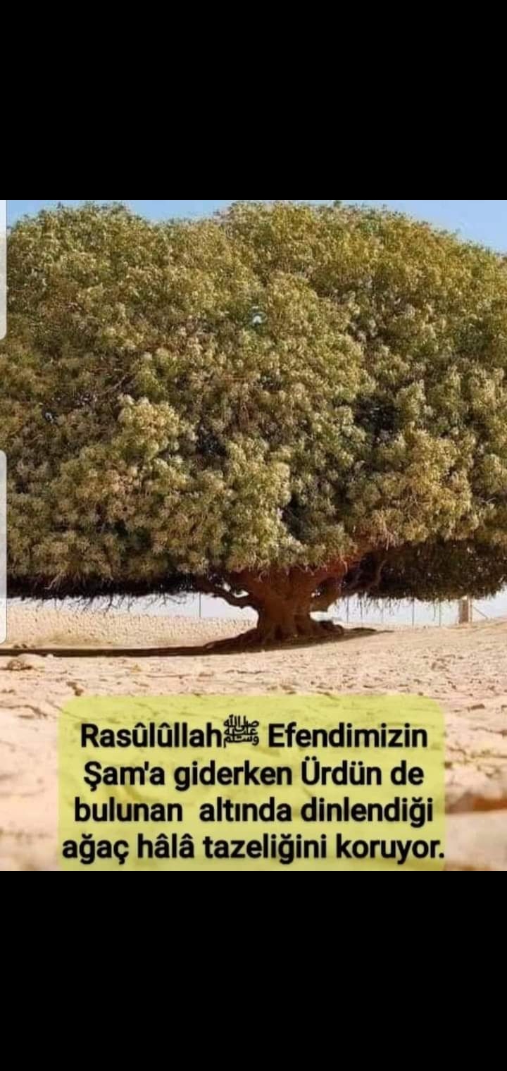 Screenshot_20230419-185521_WhatsApp.jpg