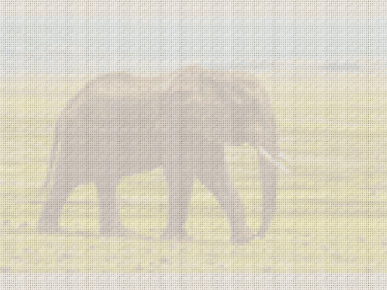 20180721_135815.gif