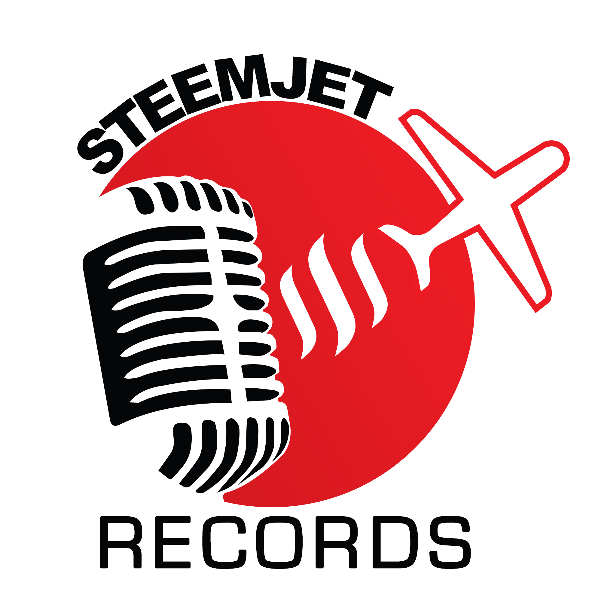 steenjet sistem logo by jacobite4.png