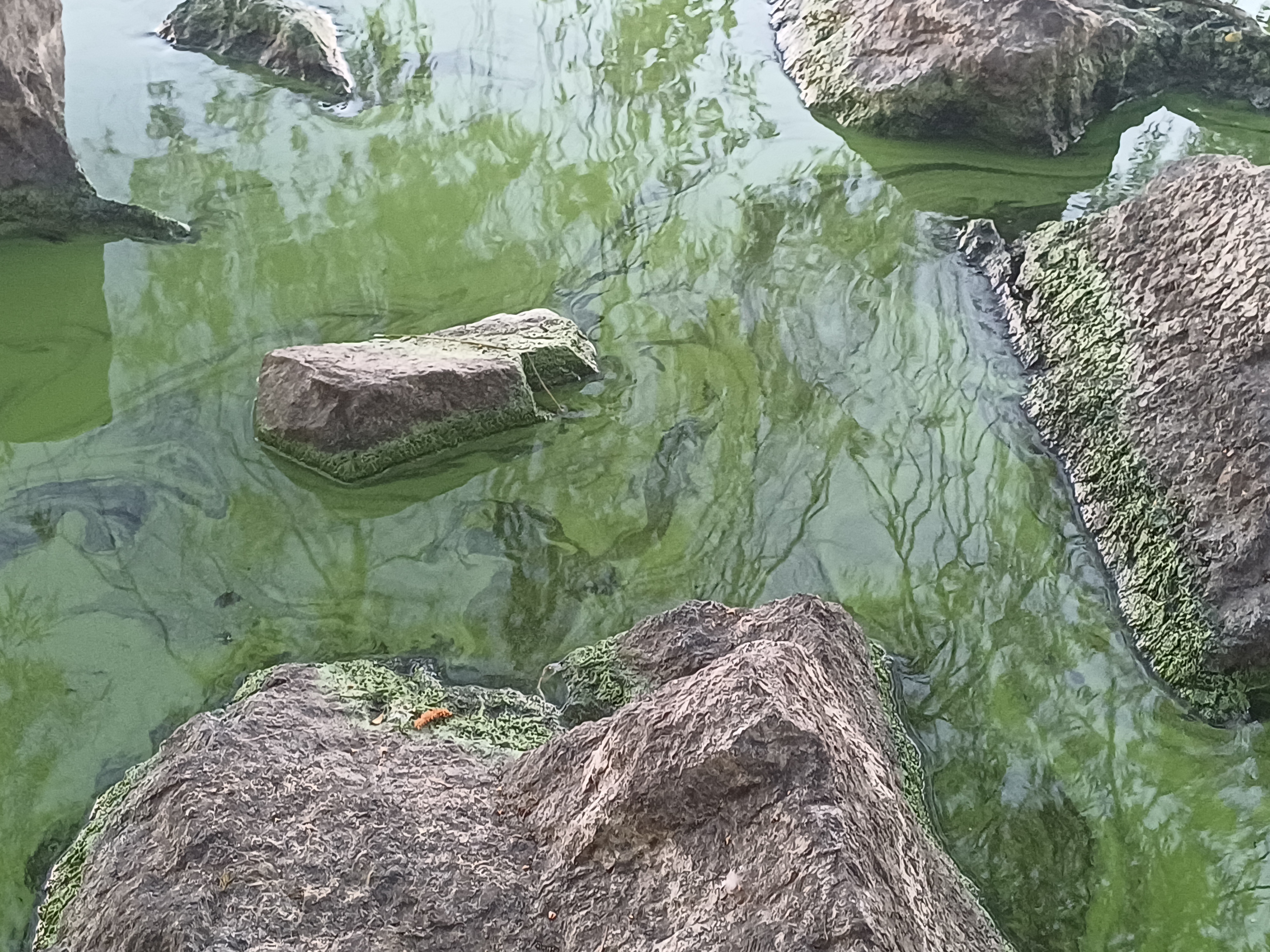 20260803_202029.jpg
