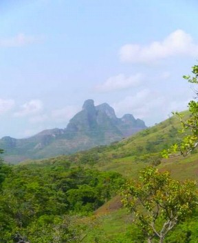top_090521_2.jpg