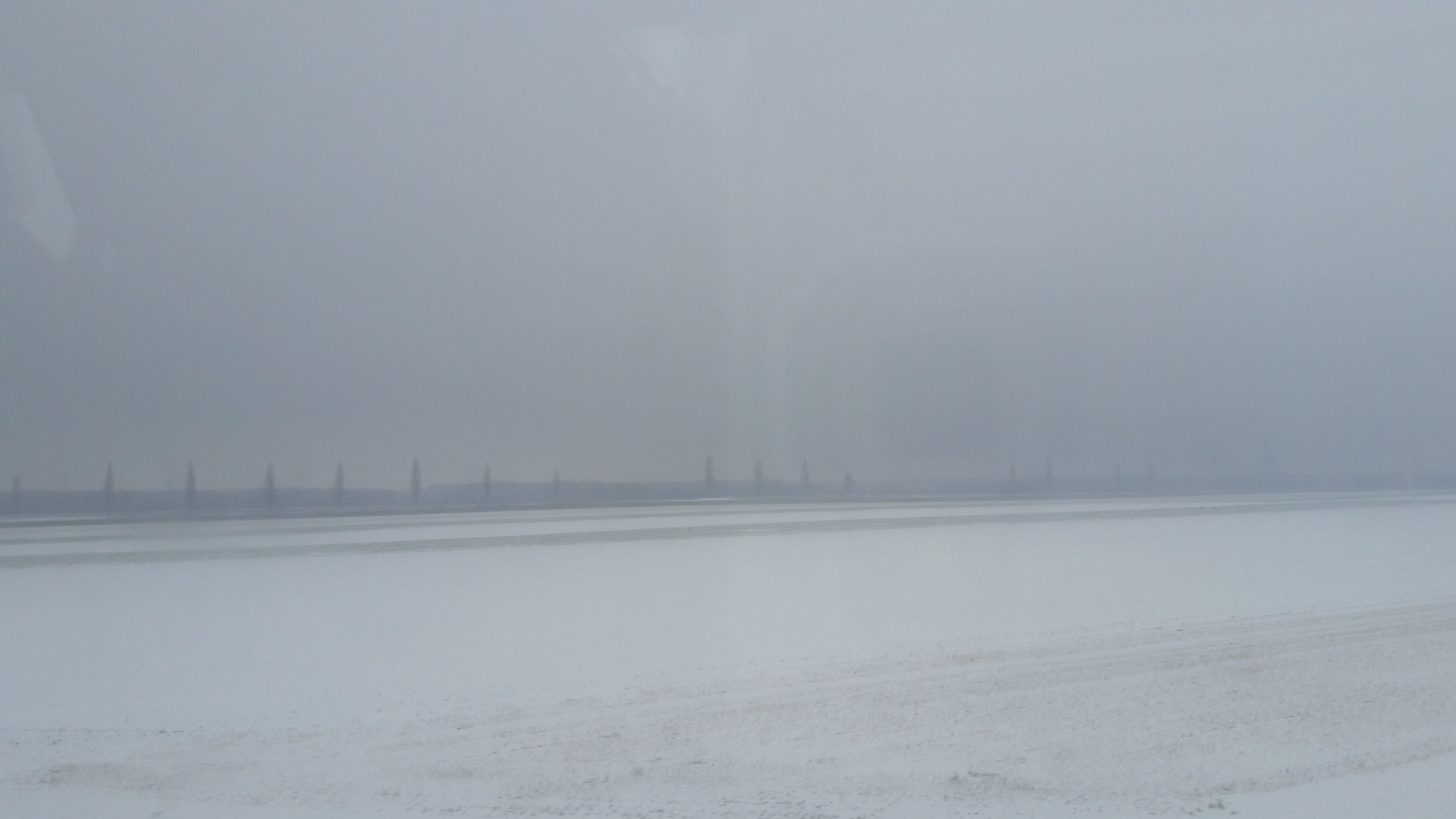20181201_132942.jpg