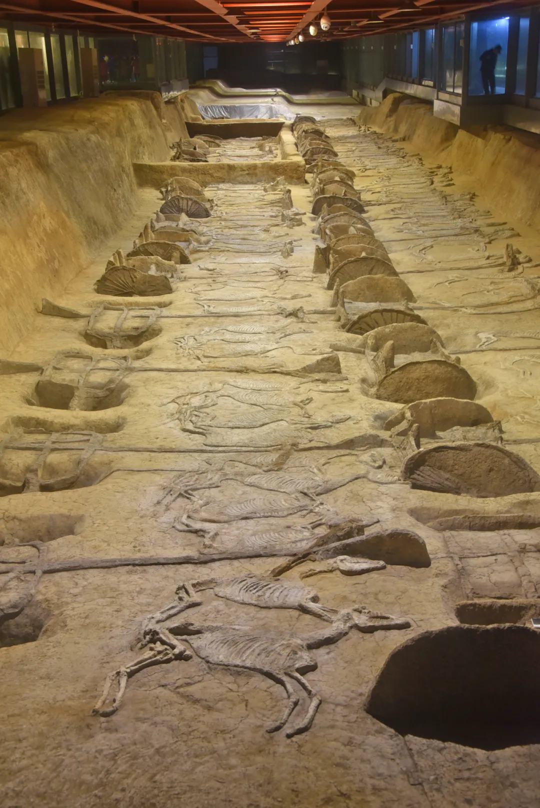 640 (9).webp