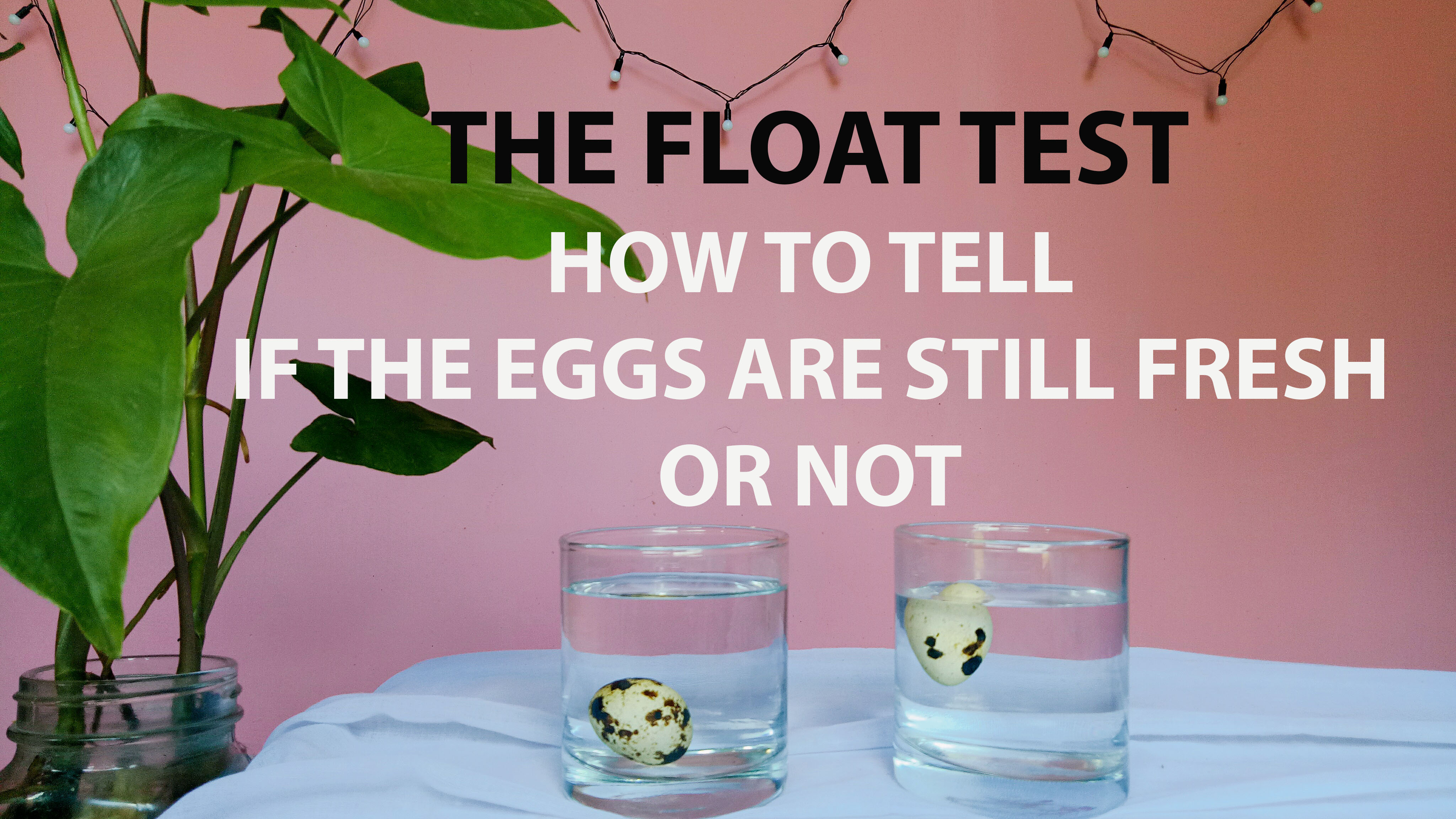fLOAT TEST.jpg