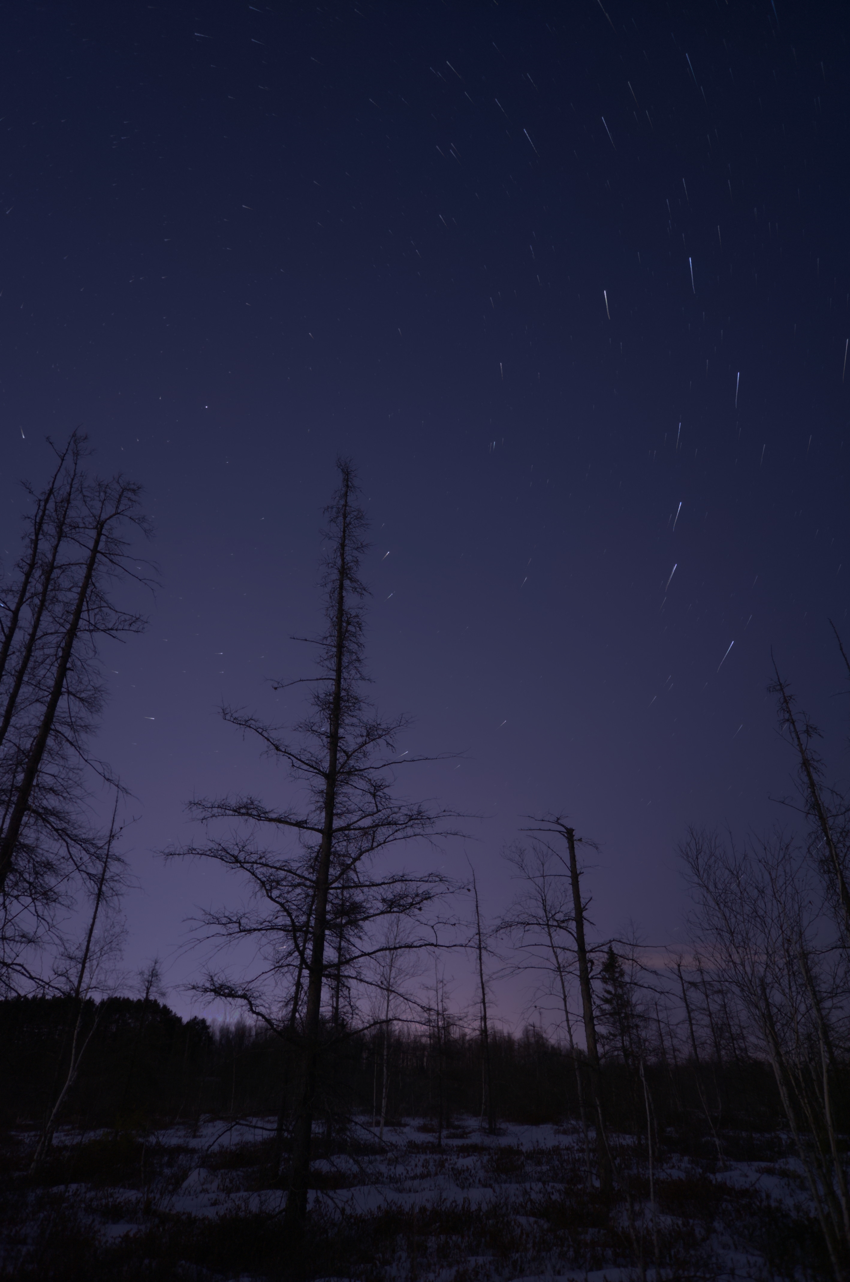 StarStaX_DSC_5718-DSC_5744_gap_filling.jpg