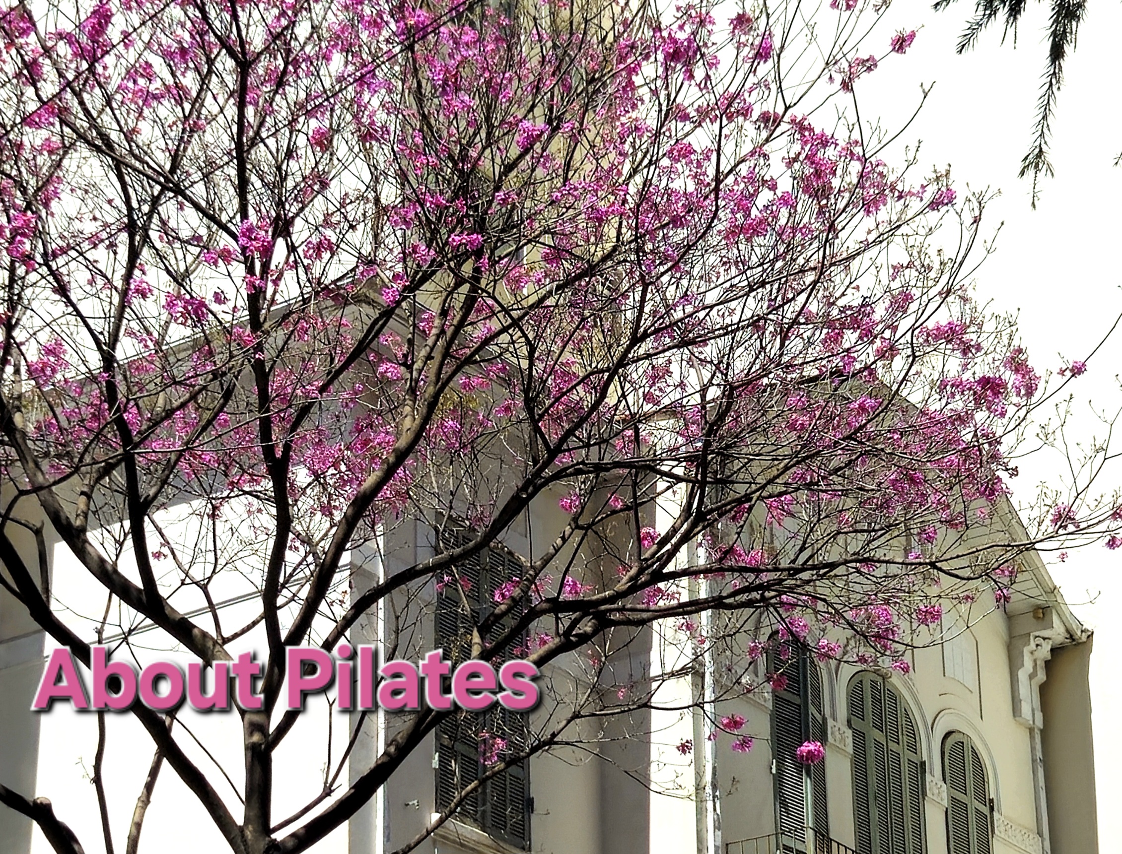 Pilates