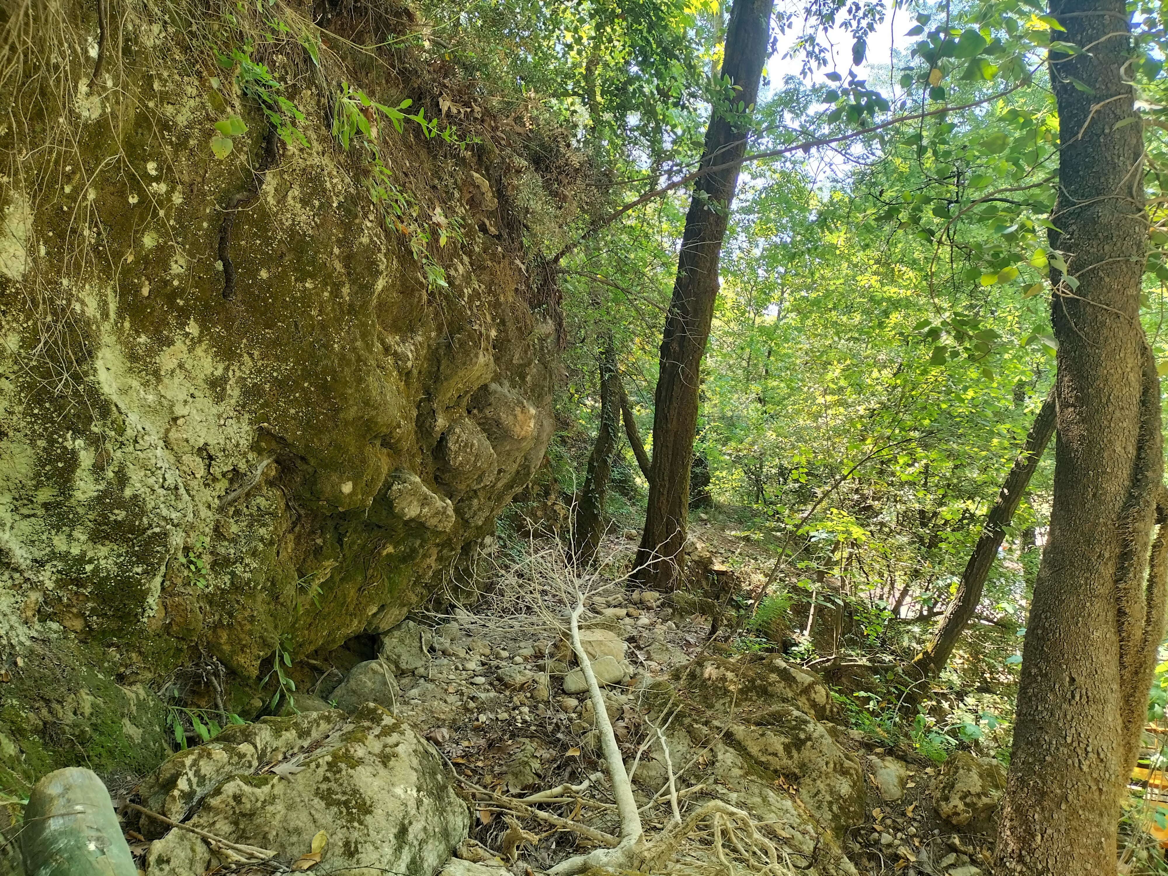 IMG20220520152623.jpg