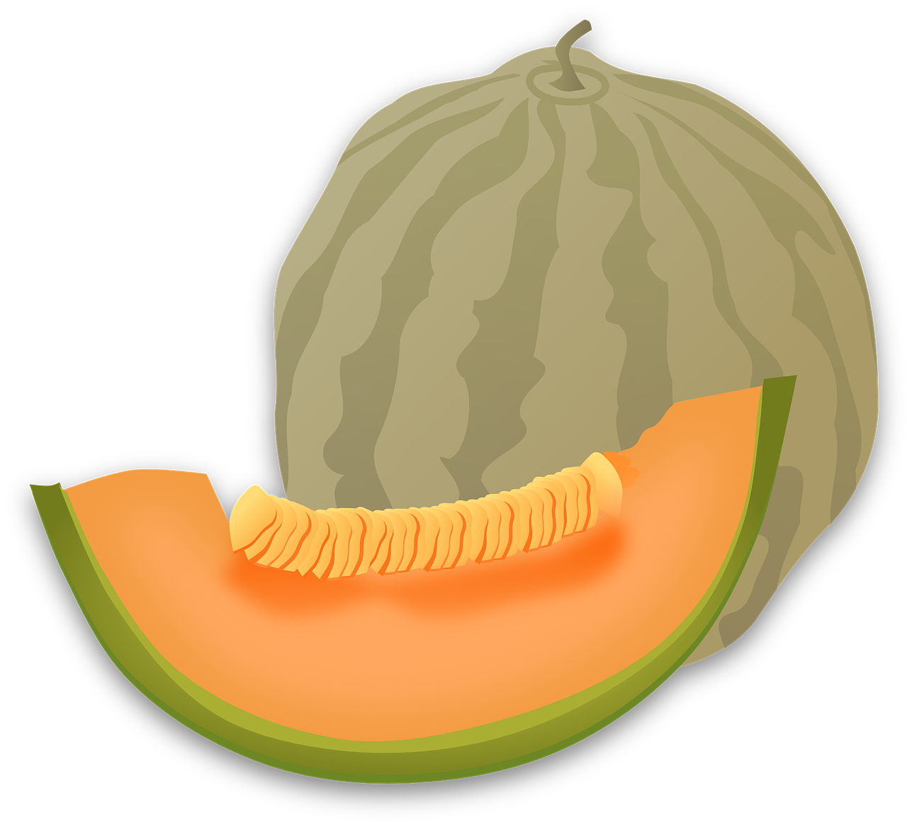 cantaloupe-42903_1280.png