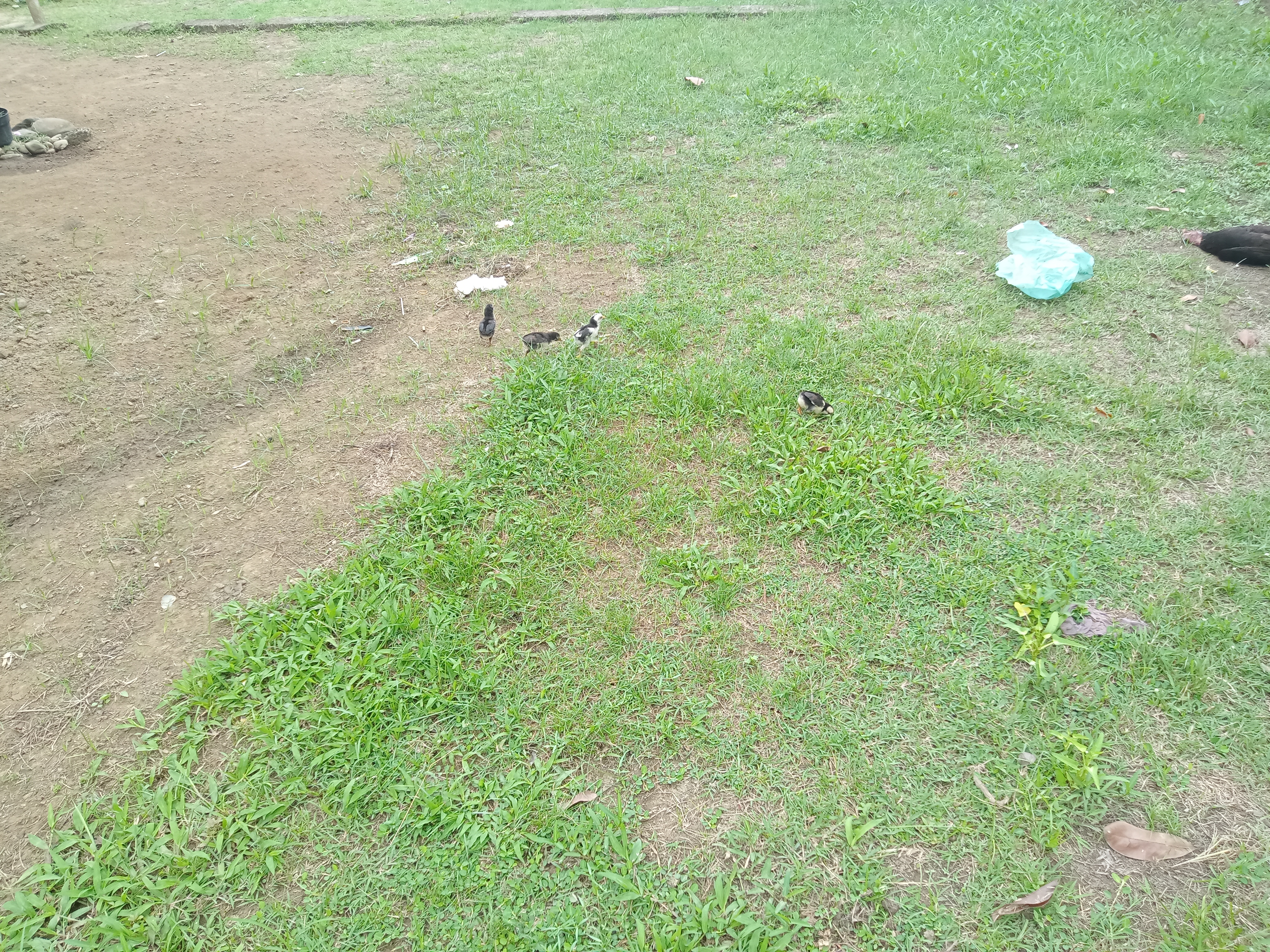 IMG20250409103338.jpg