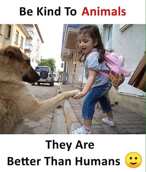 FB_IMG_15363409423083440.jpg