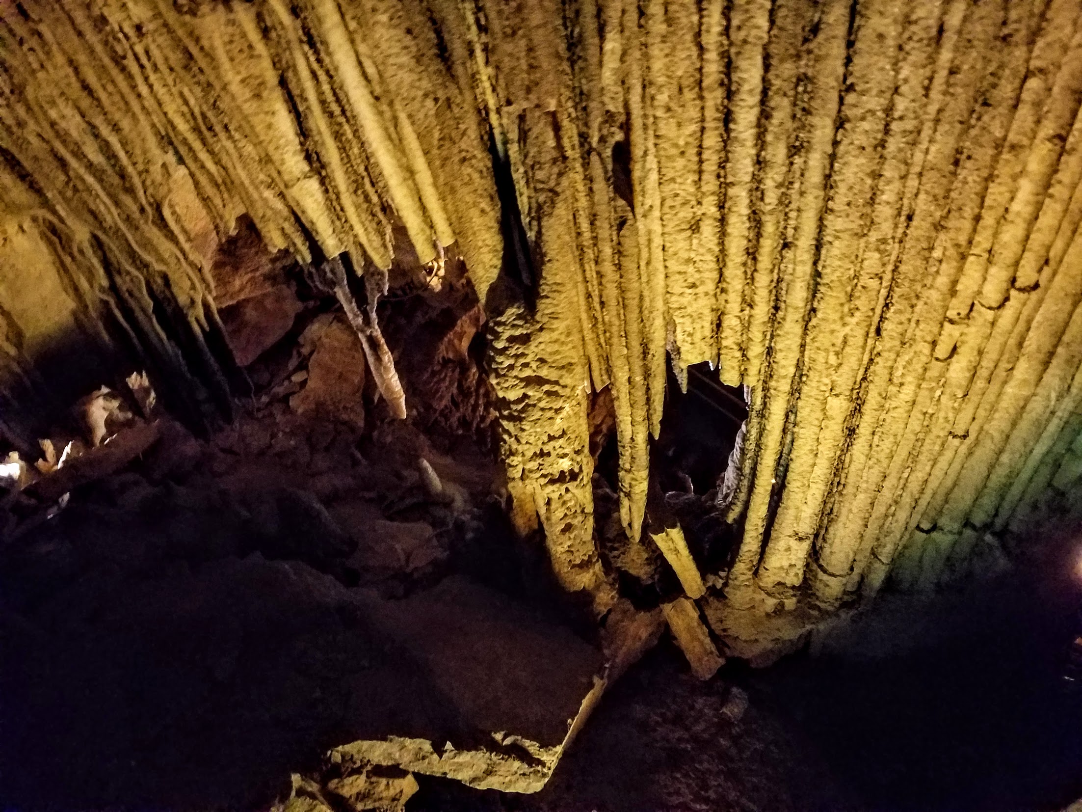20160911_143848.jpg