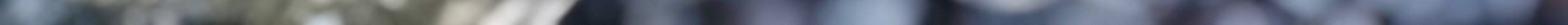 IMG_1715 2.jpeg