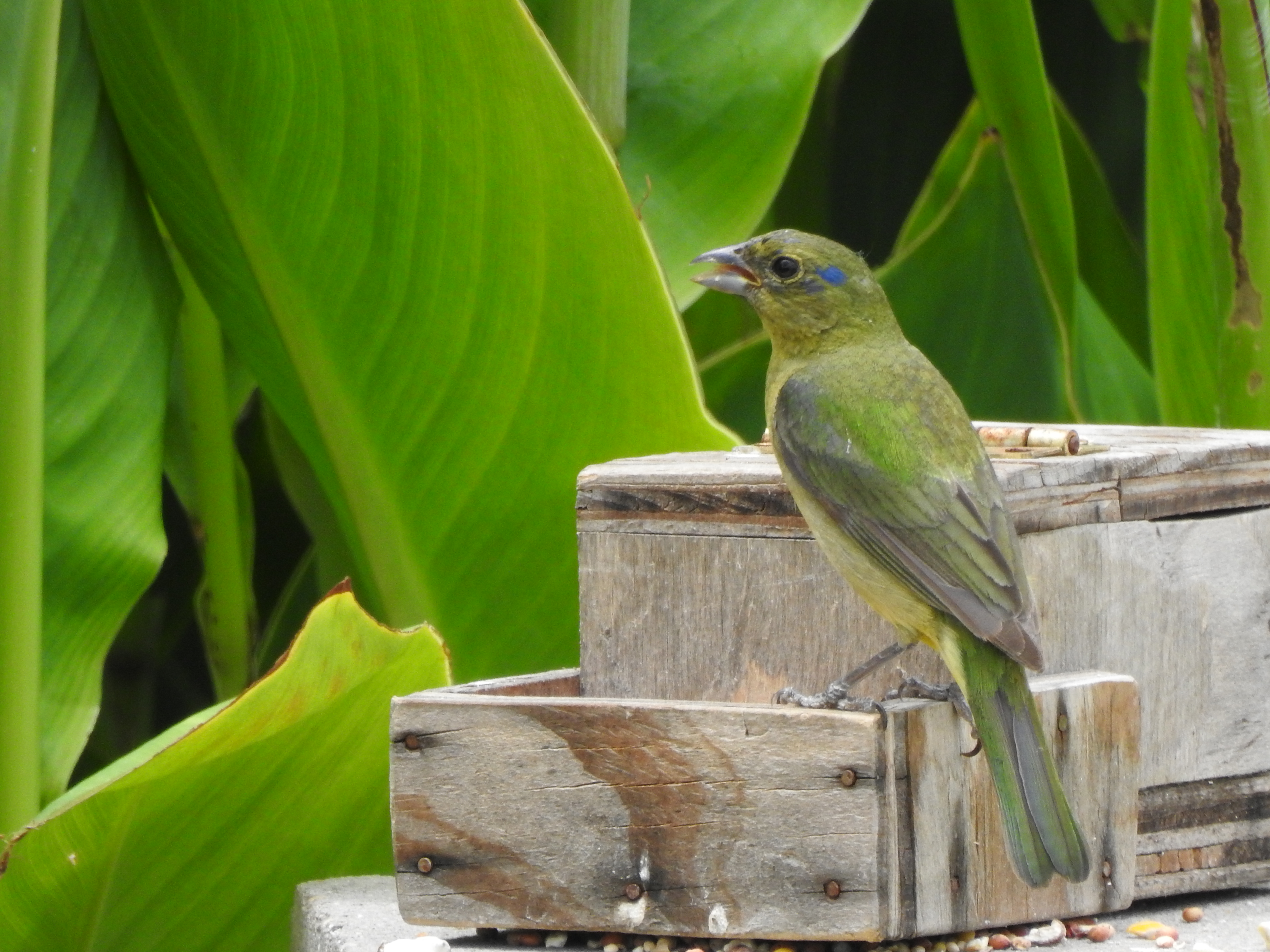 DSCN3064.JPG