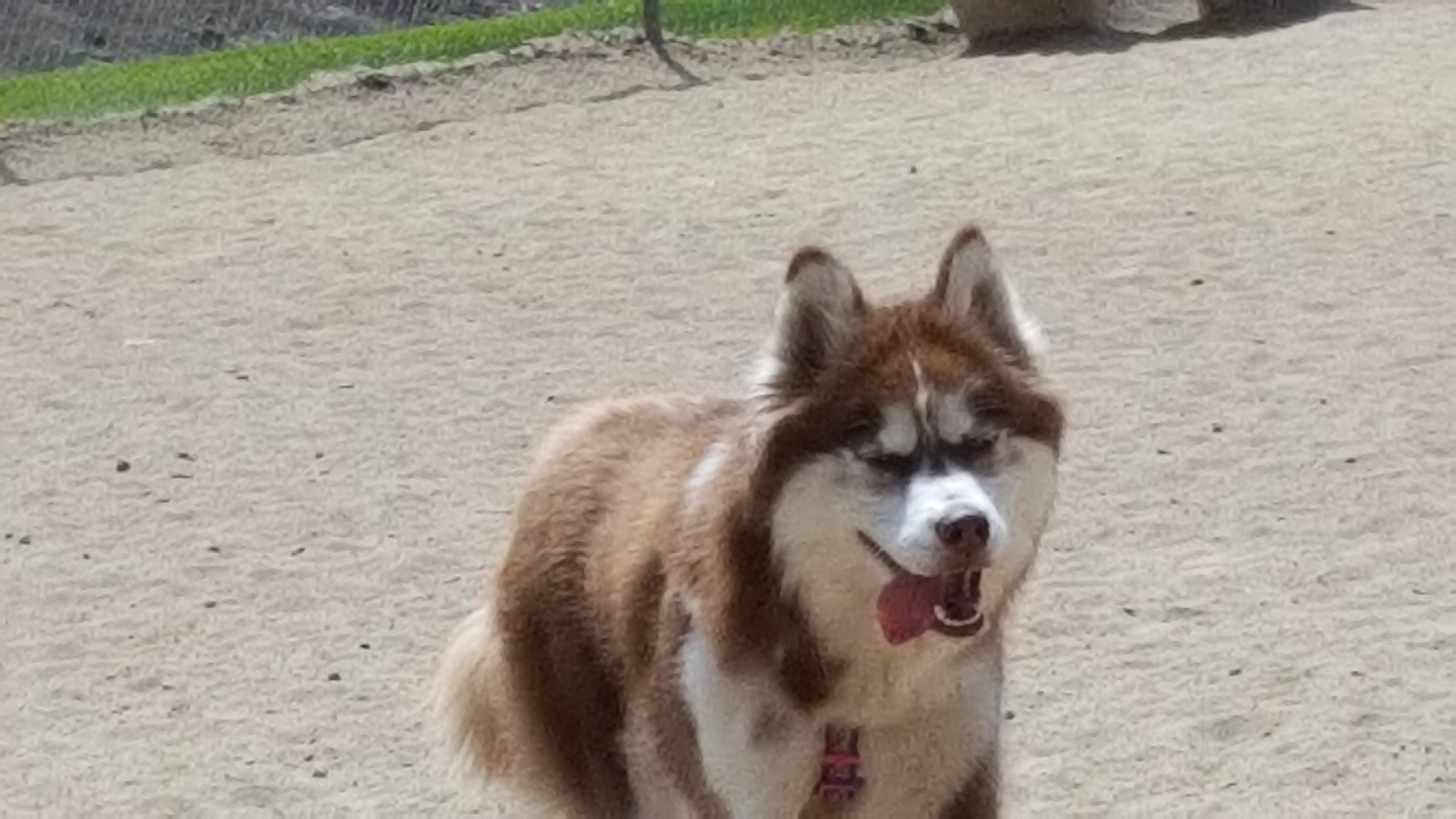 20180415_122417.jpg