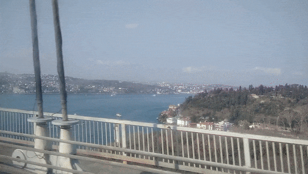 gif1.gif