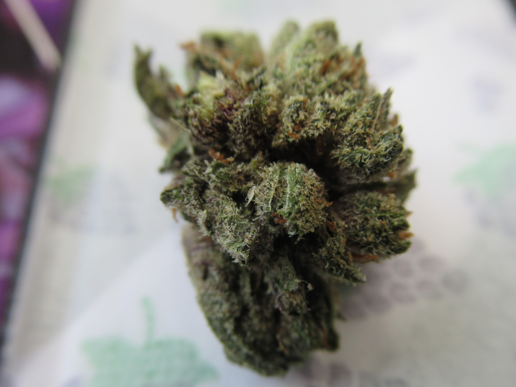 fullnugfrontedge.jpg