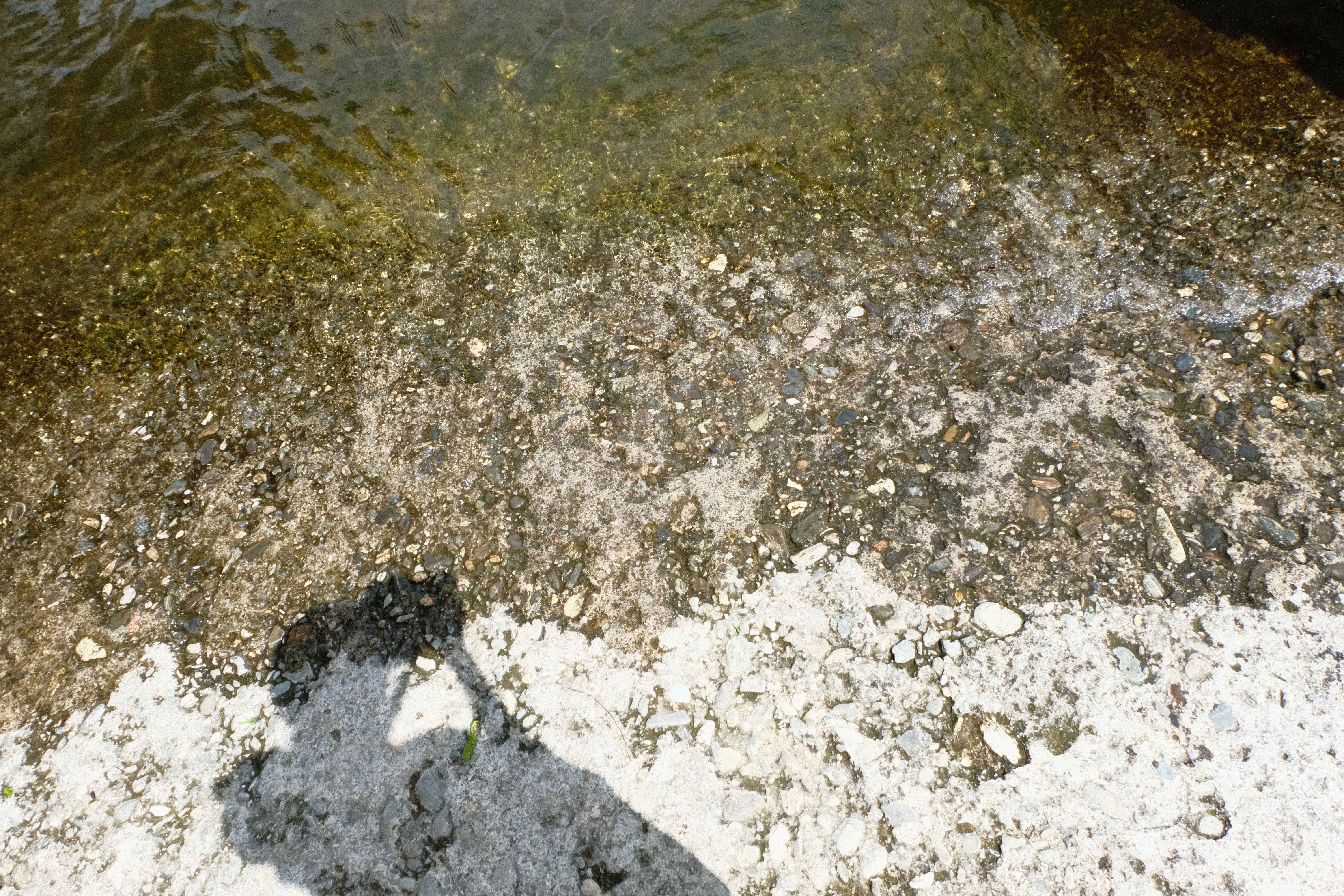 DSCF0414.jpg