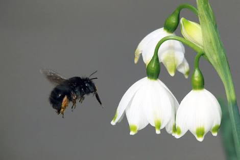 images (5).jpeg