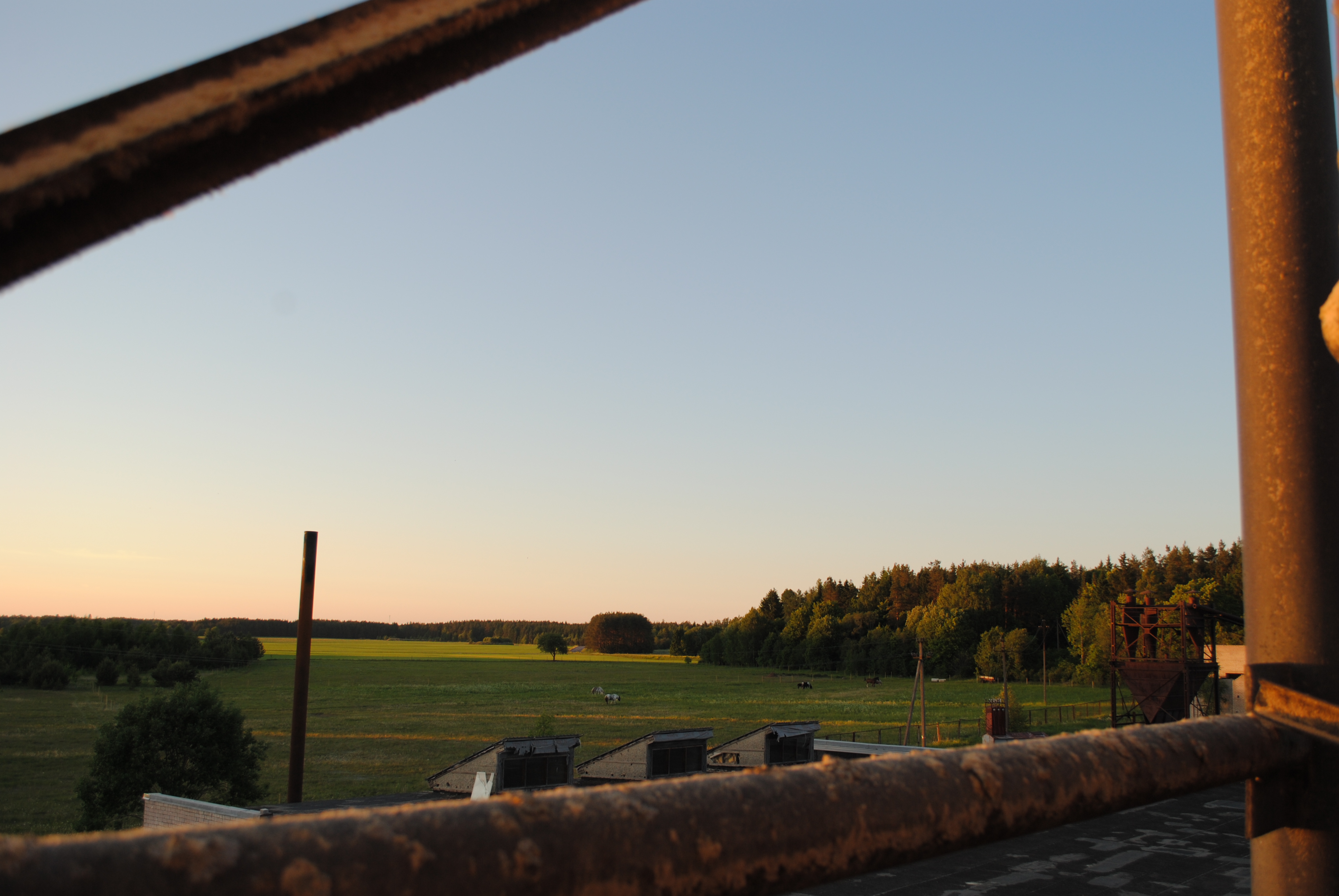 DSC_0685.JPG