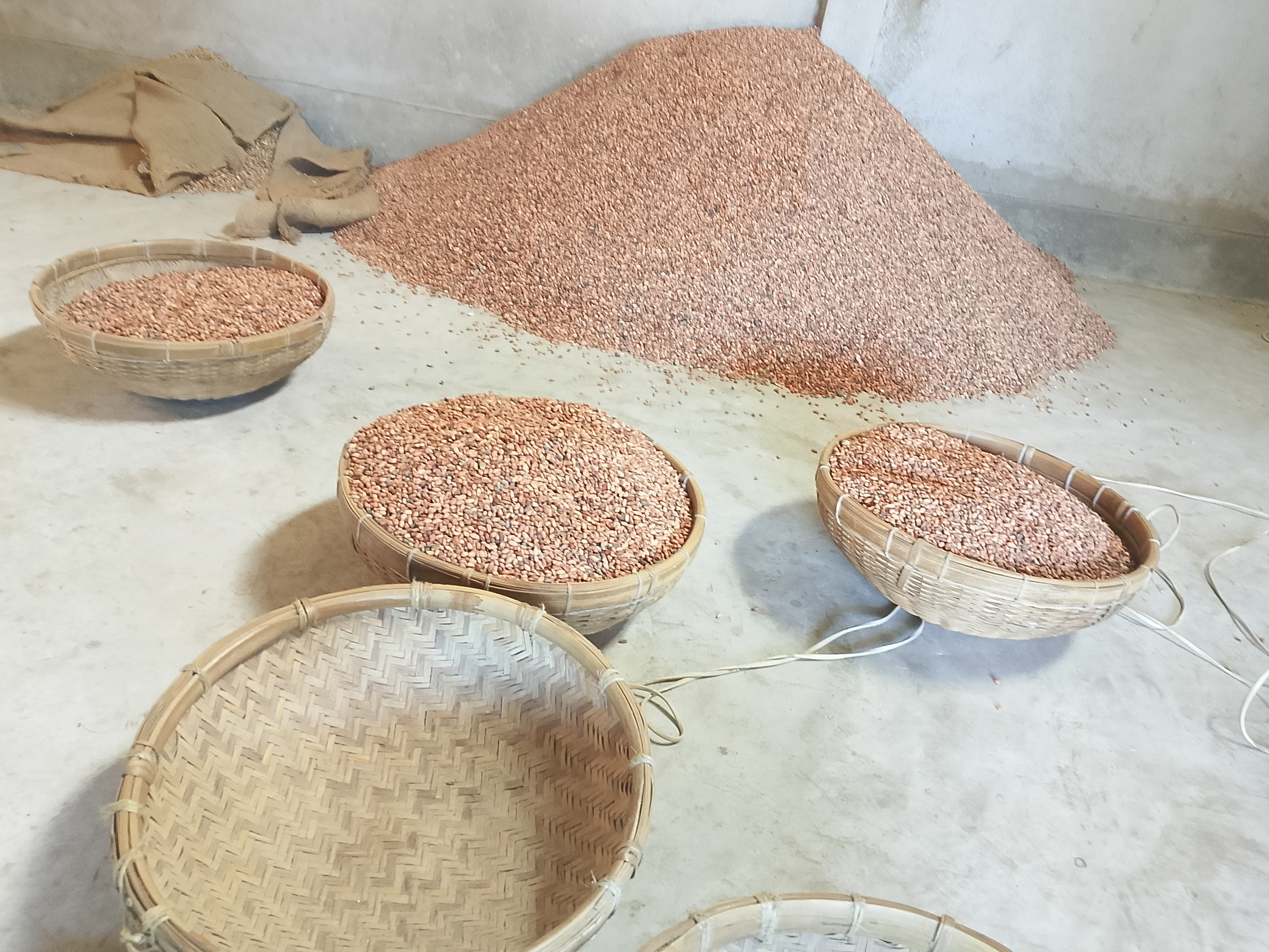 1000068189.jpg