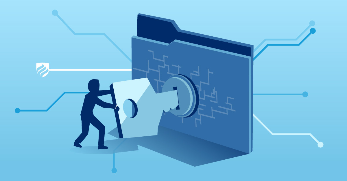 cybersecurity-vs-information-security-illustration.jpg