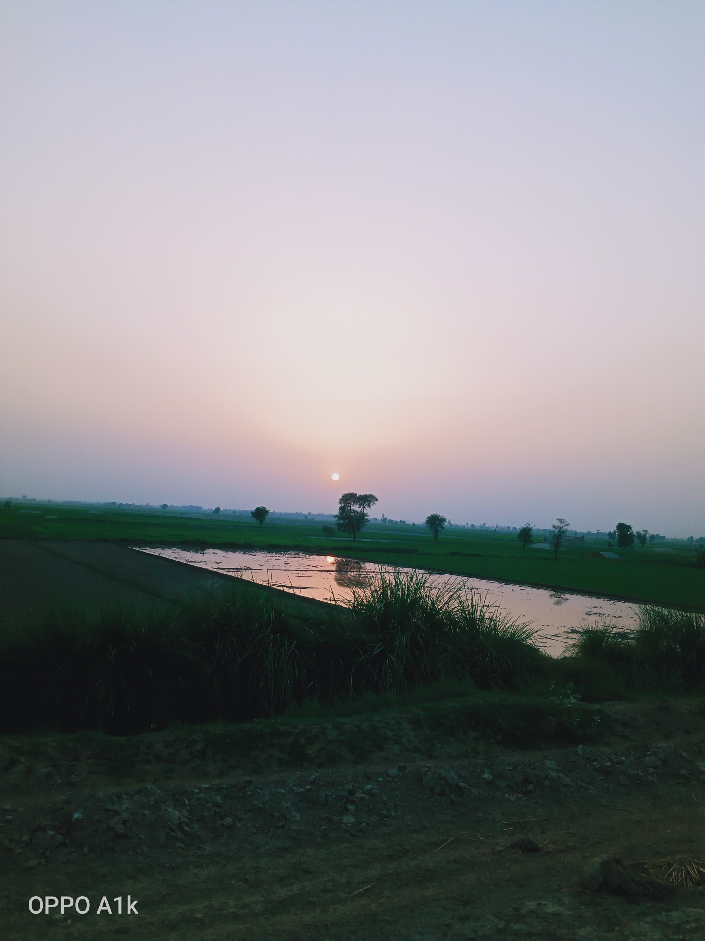 IMG20210618185012.jpg