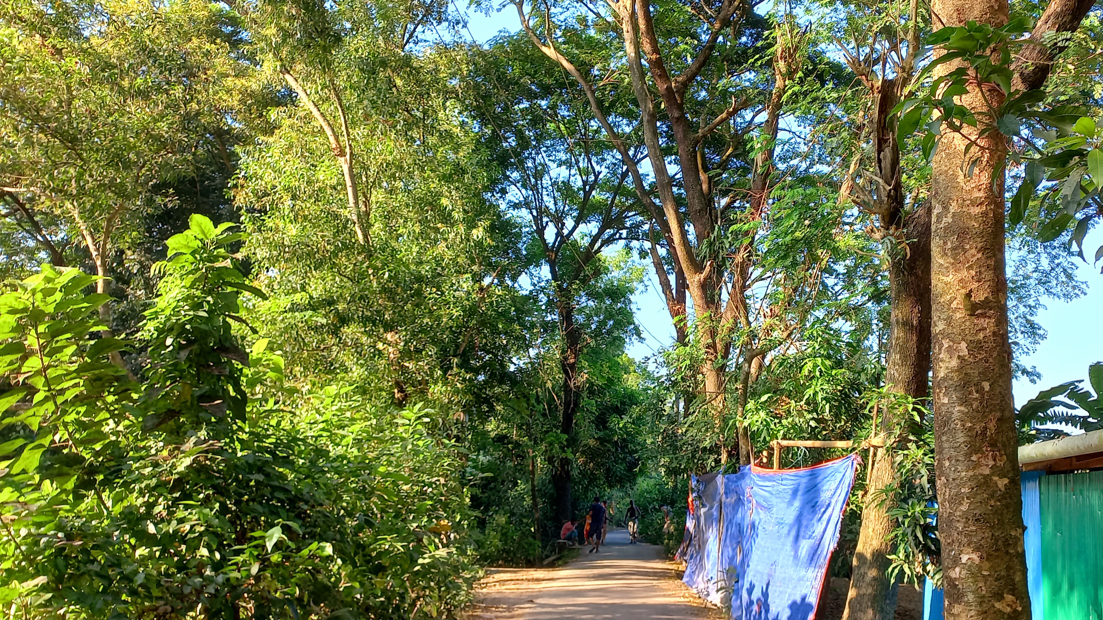 20221022_153546.jpg