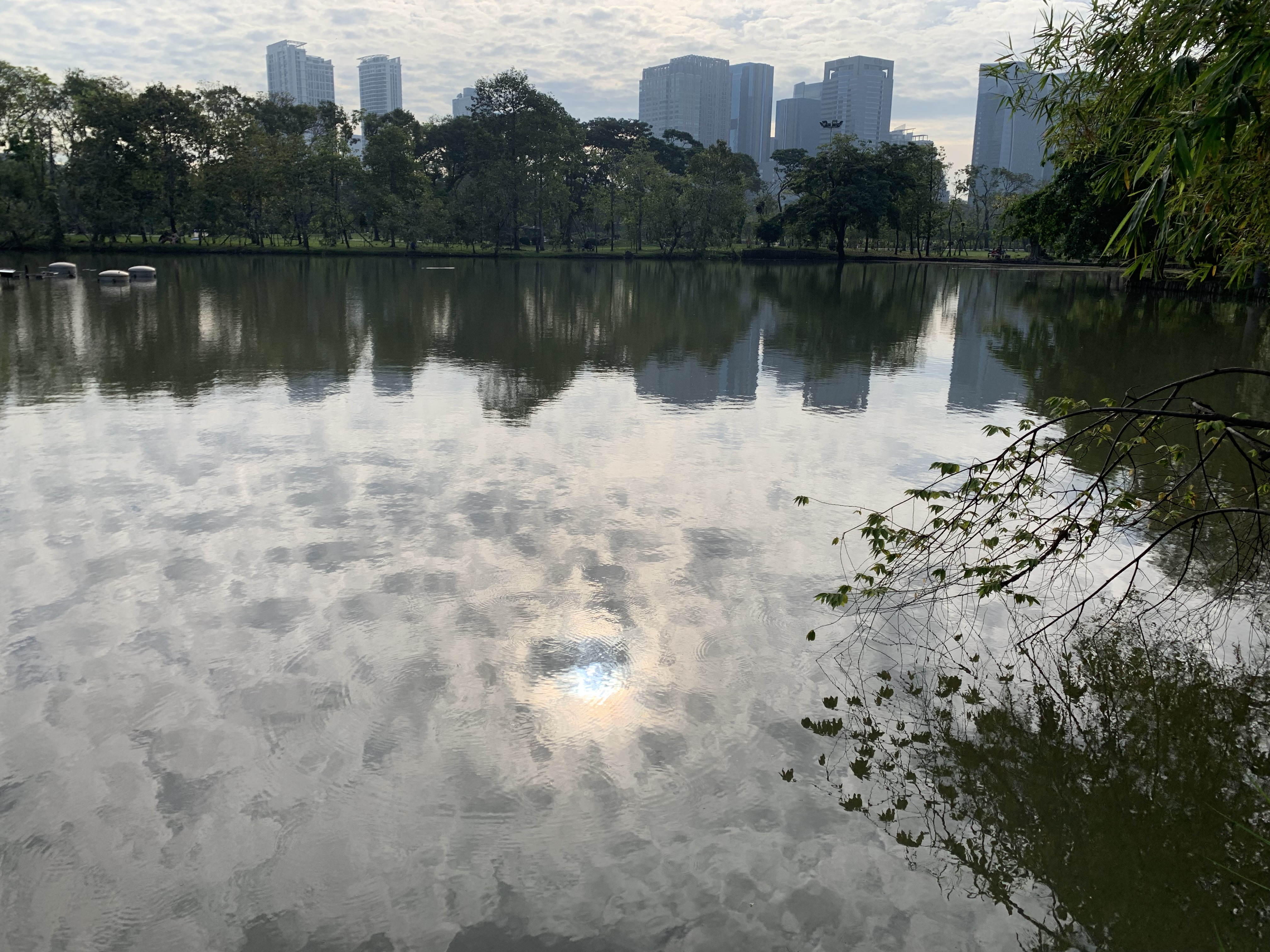Suan Rot Fai203.jpg