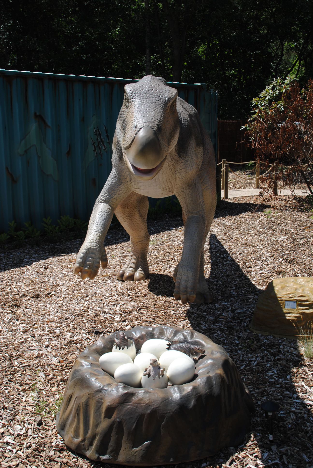 image120.jpg