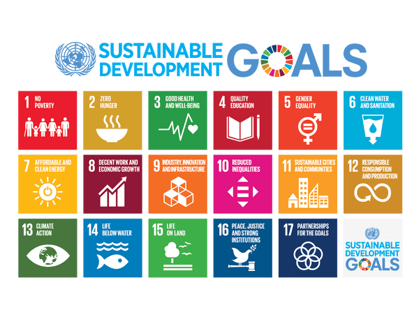 seventeen points of SDG