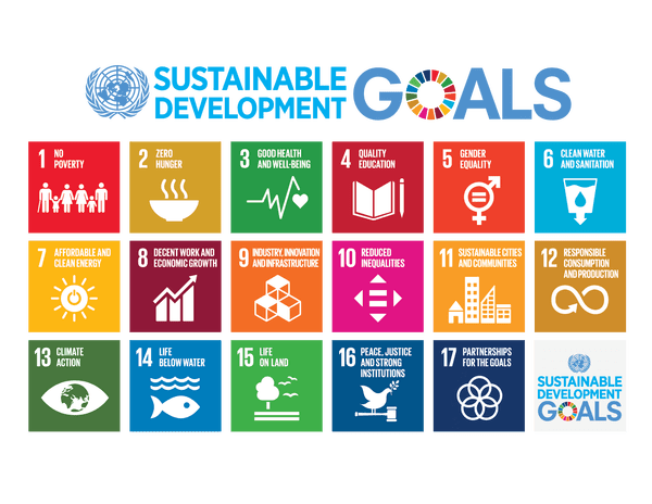 E_2018_SDG_Poster_with_UN_emblem.png