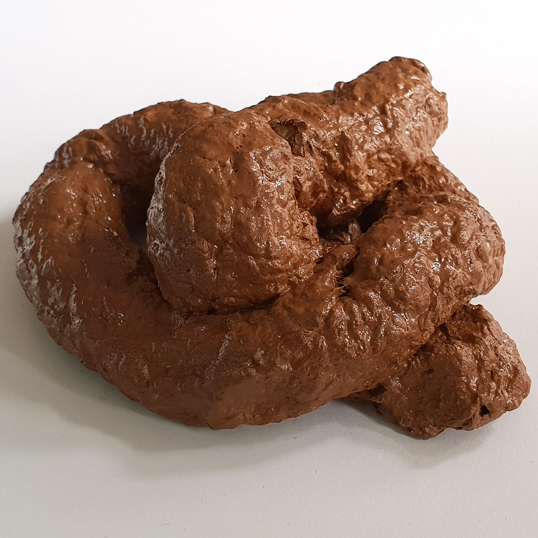 9732-fausse-crotte.jpg
