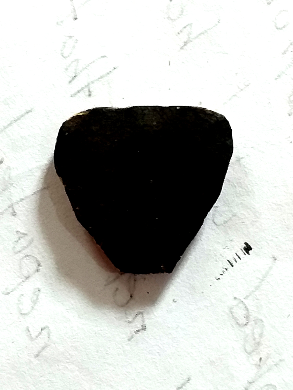 20210802_195945.jpg