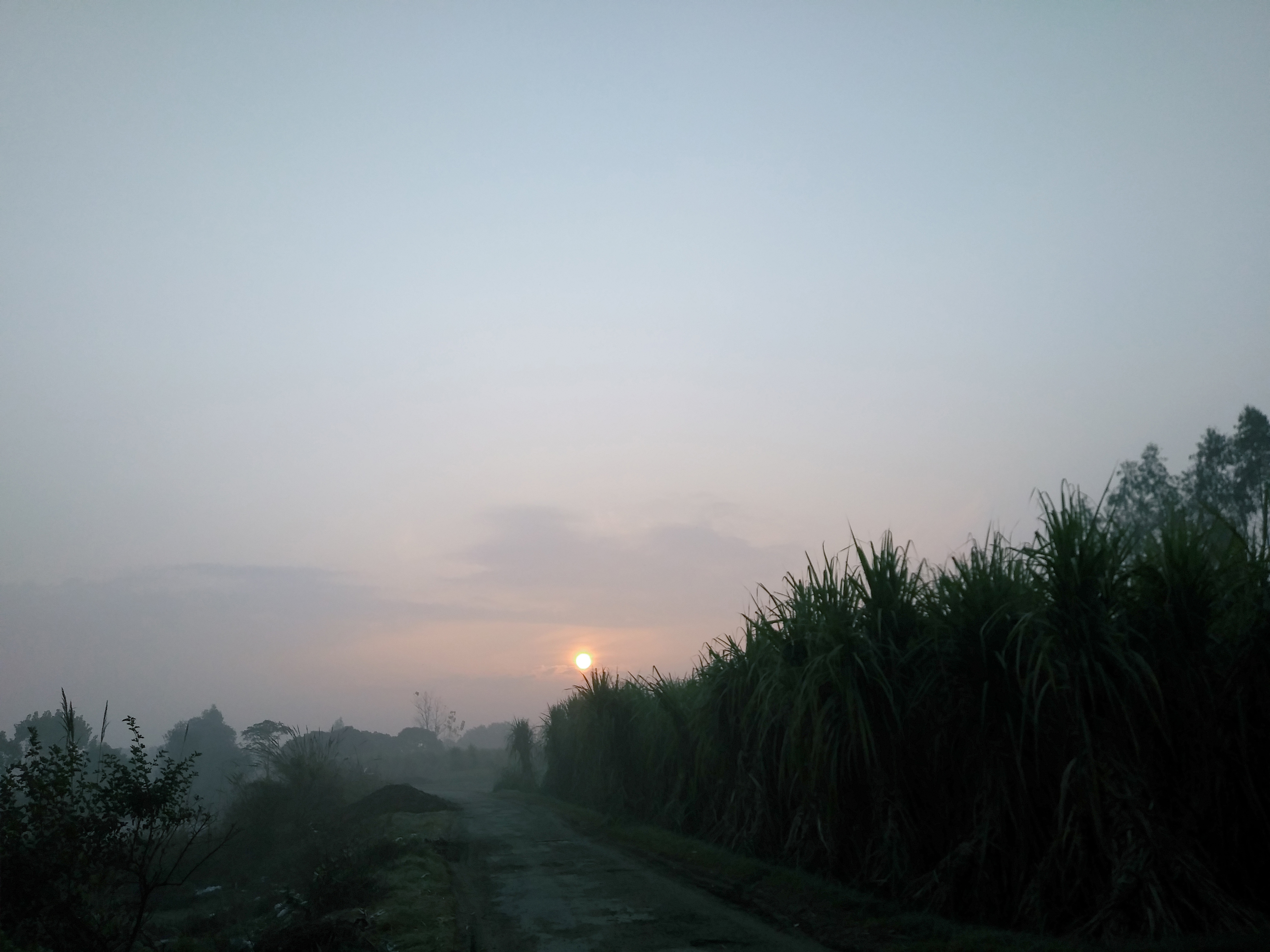 20191215_073609.jpg