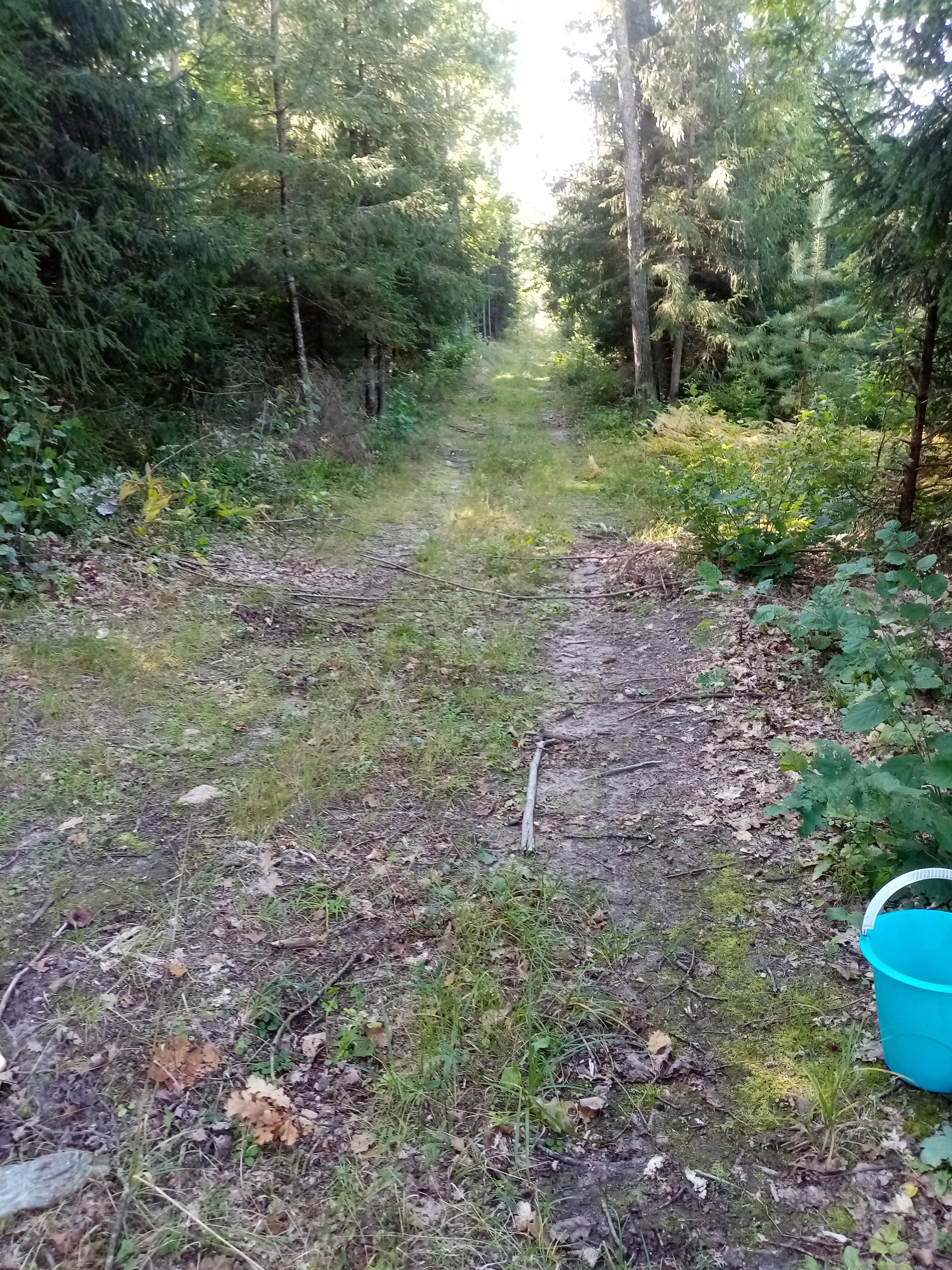 IMG_20210908_102503.jpg
