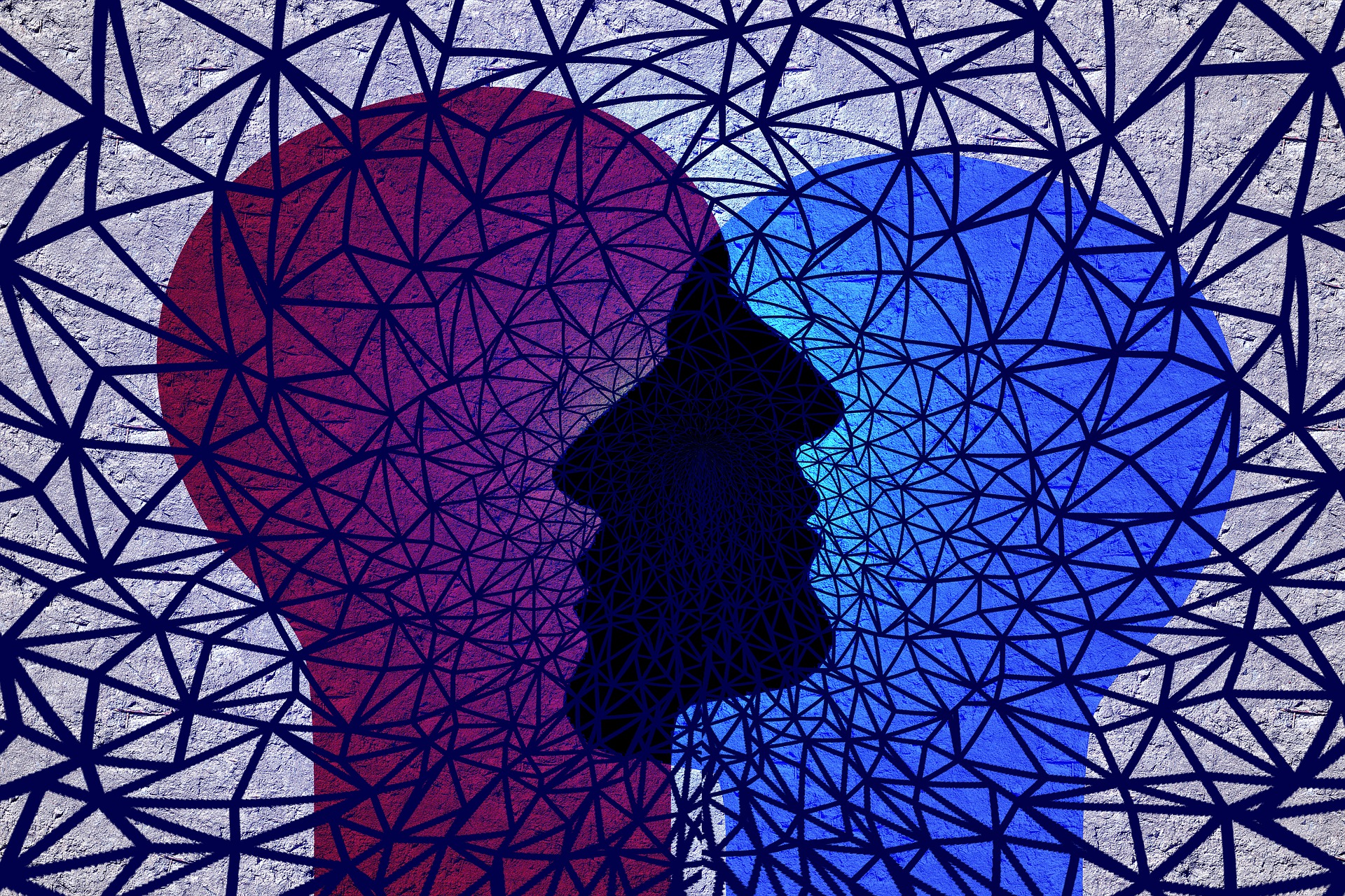 web-g5e763e456_1920.jpg
