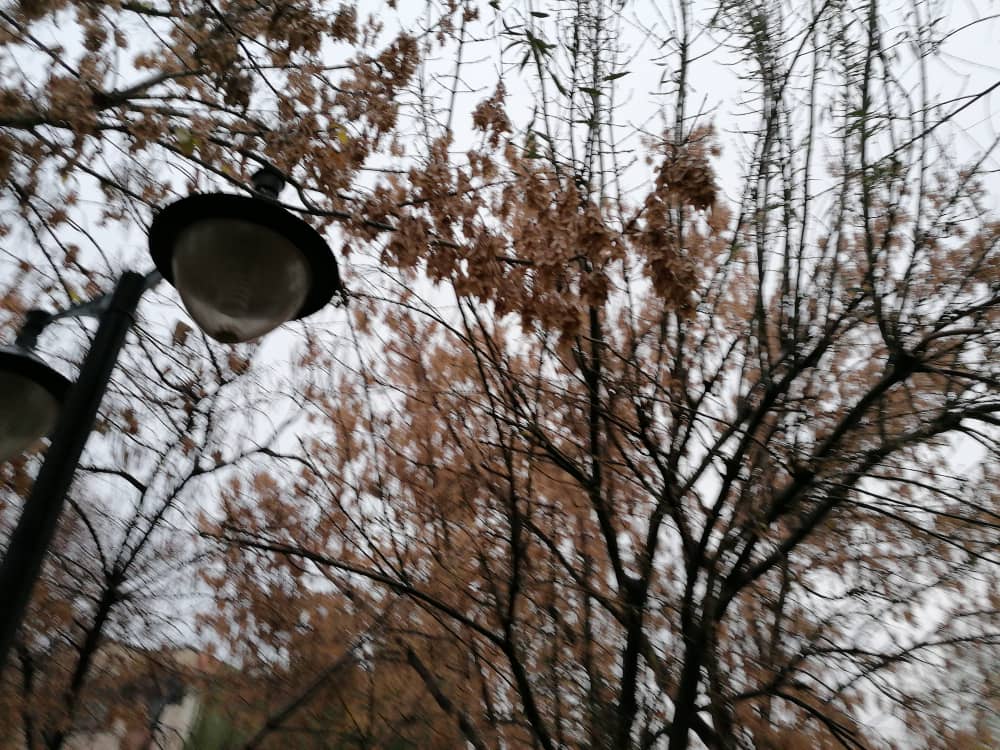 parkpicture56 (2).jpeg