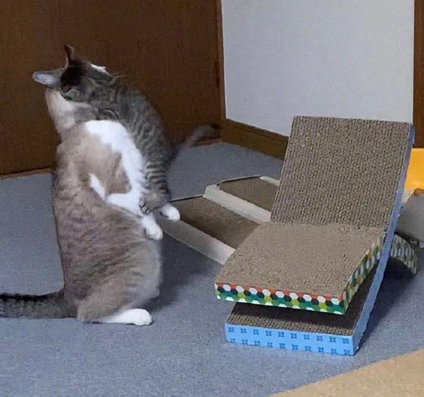 F705F7C6-C903-468D-943C-9A7478EFAE3B.jpeg