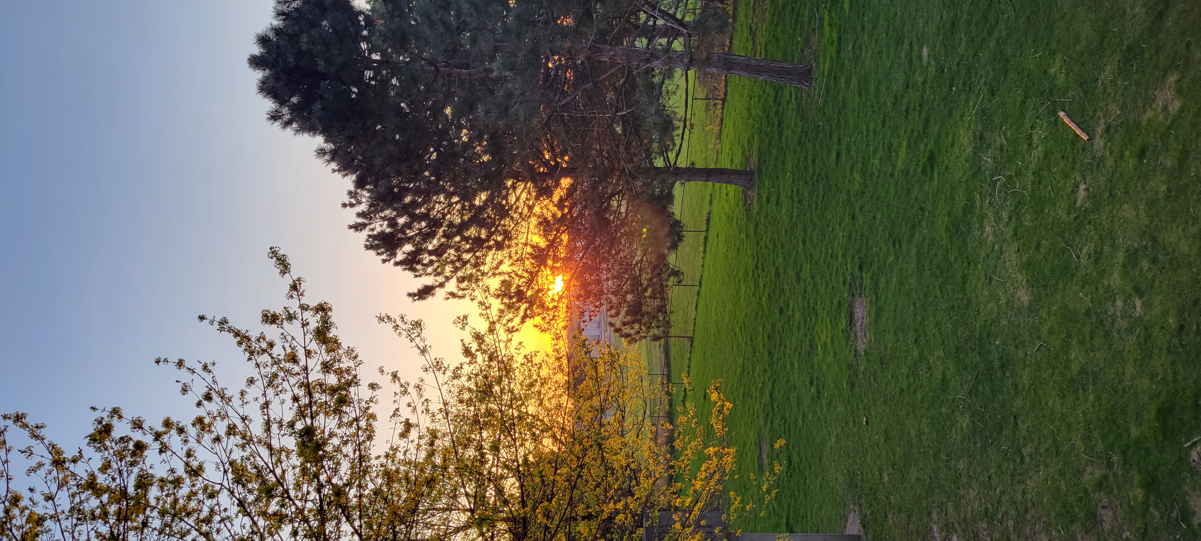 20220510_202156.jpg