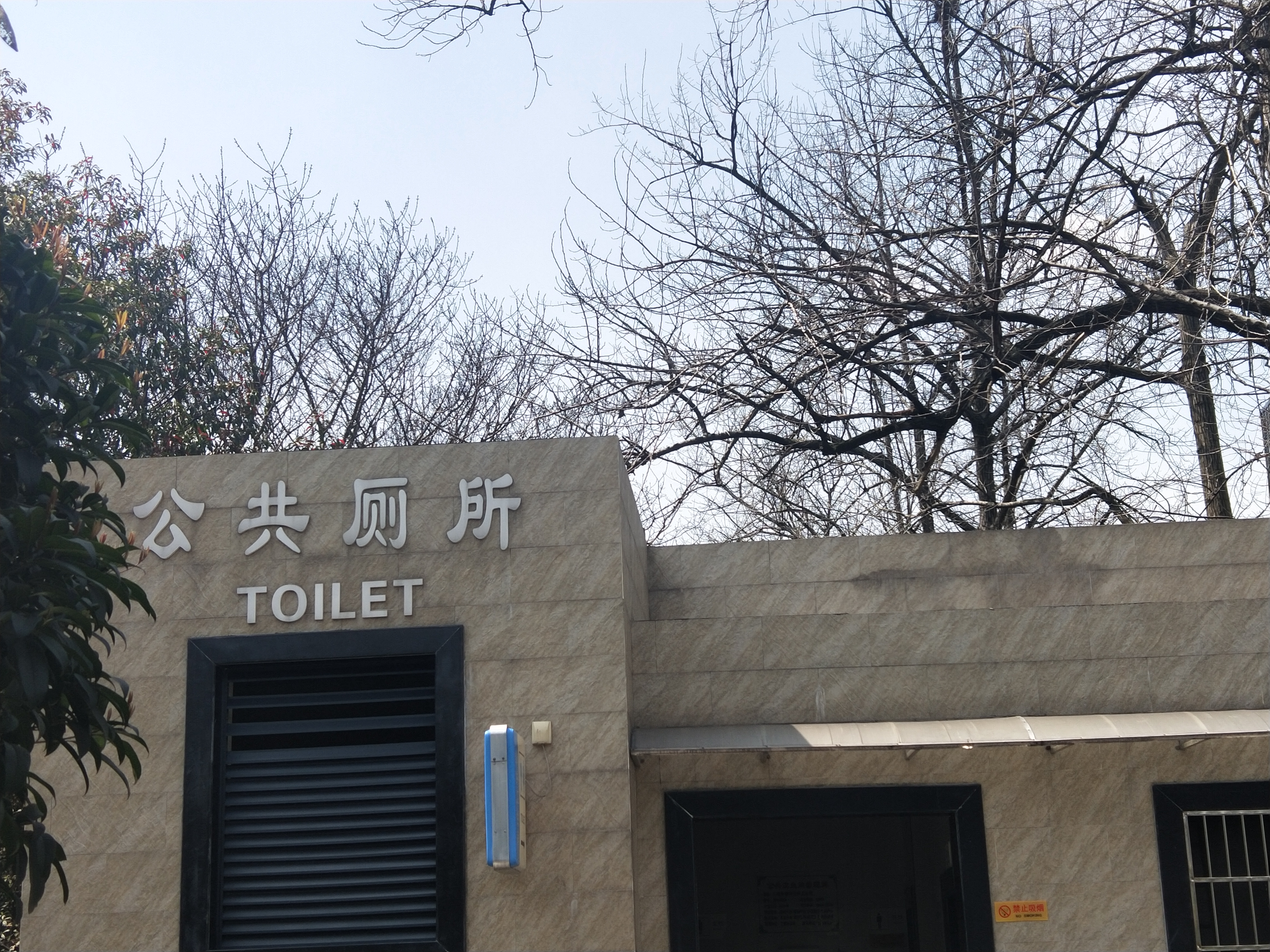 IMG20190323114504.jpg