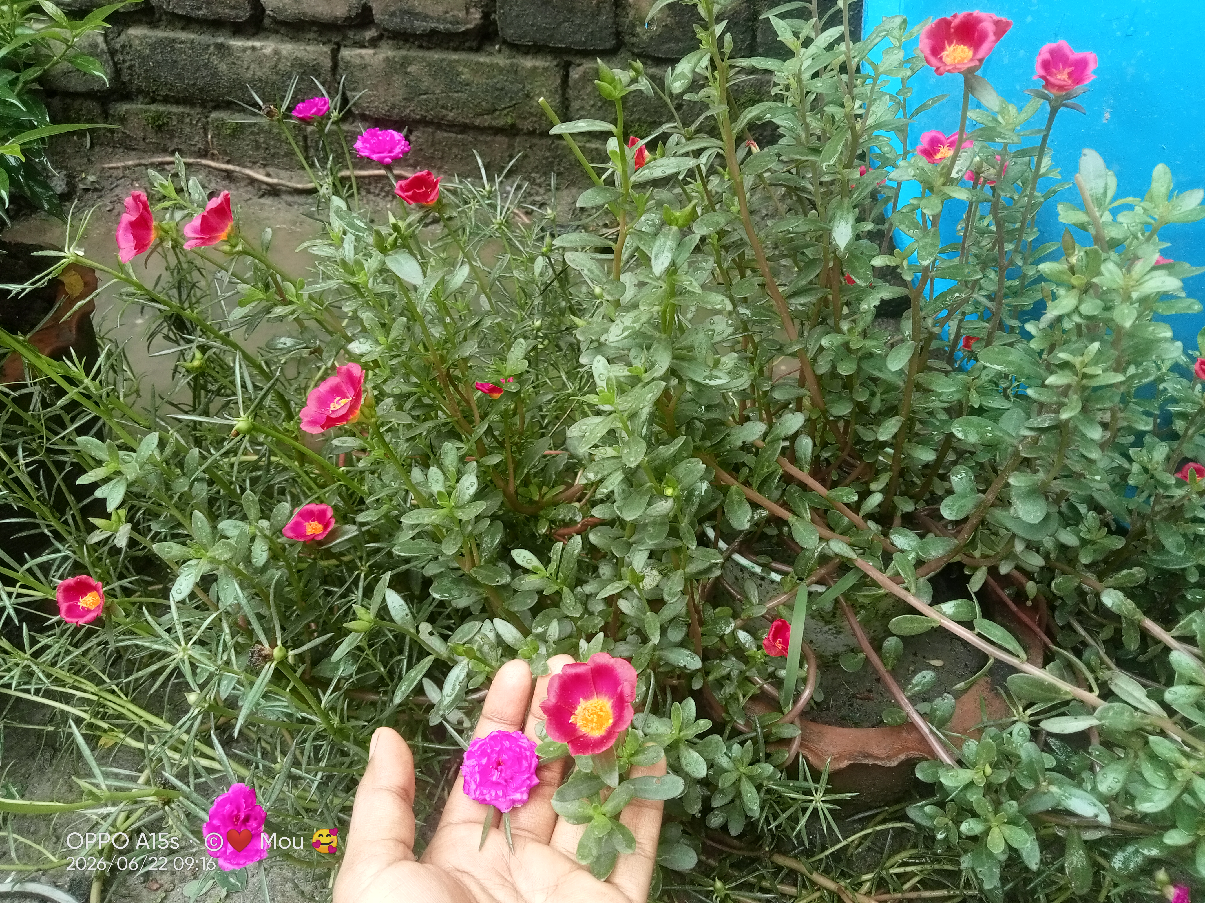 IMG20260622091648.jpg