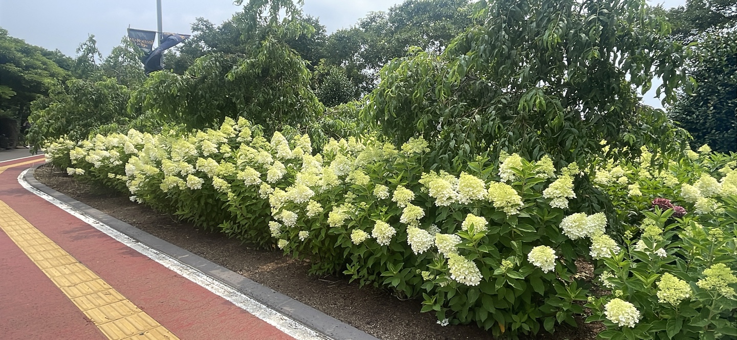 KakaoTalk_20260717_212857915_01.jpg