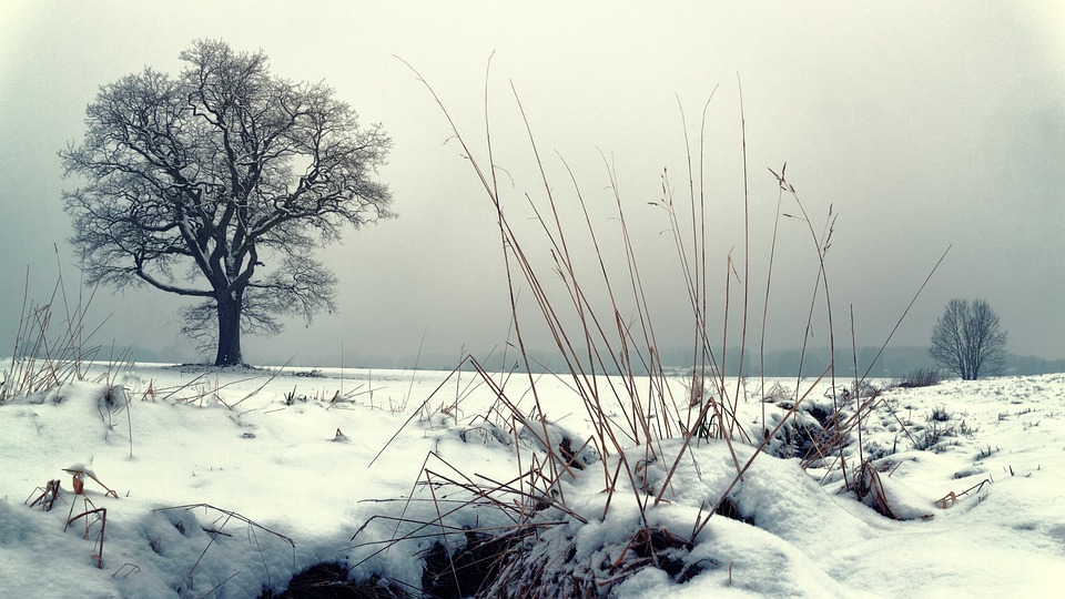 winter-3171798_960_720.jpg