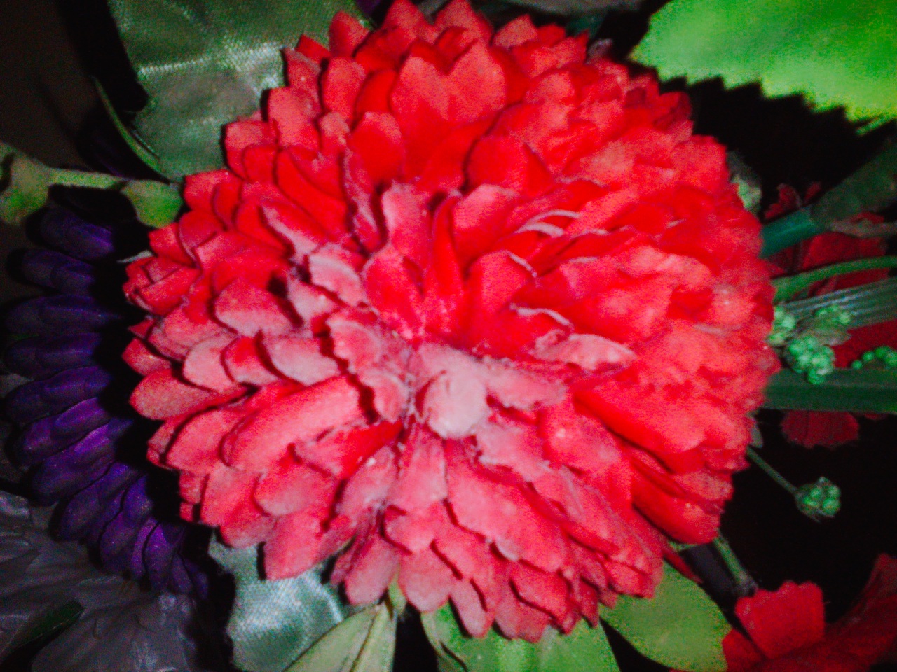 2017-10-23-15-10-48-337.jpg