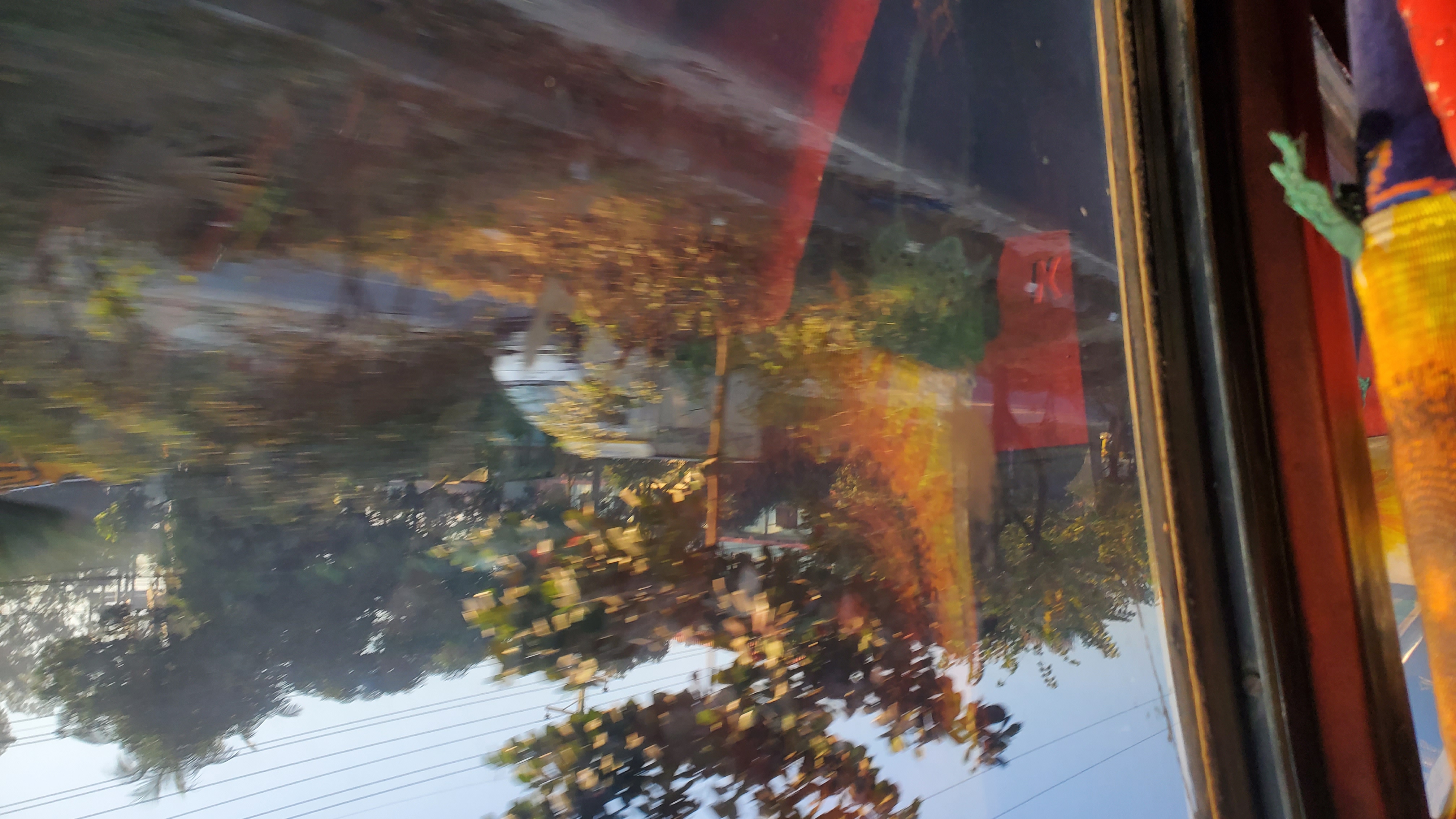20251214_073404.jpg